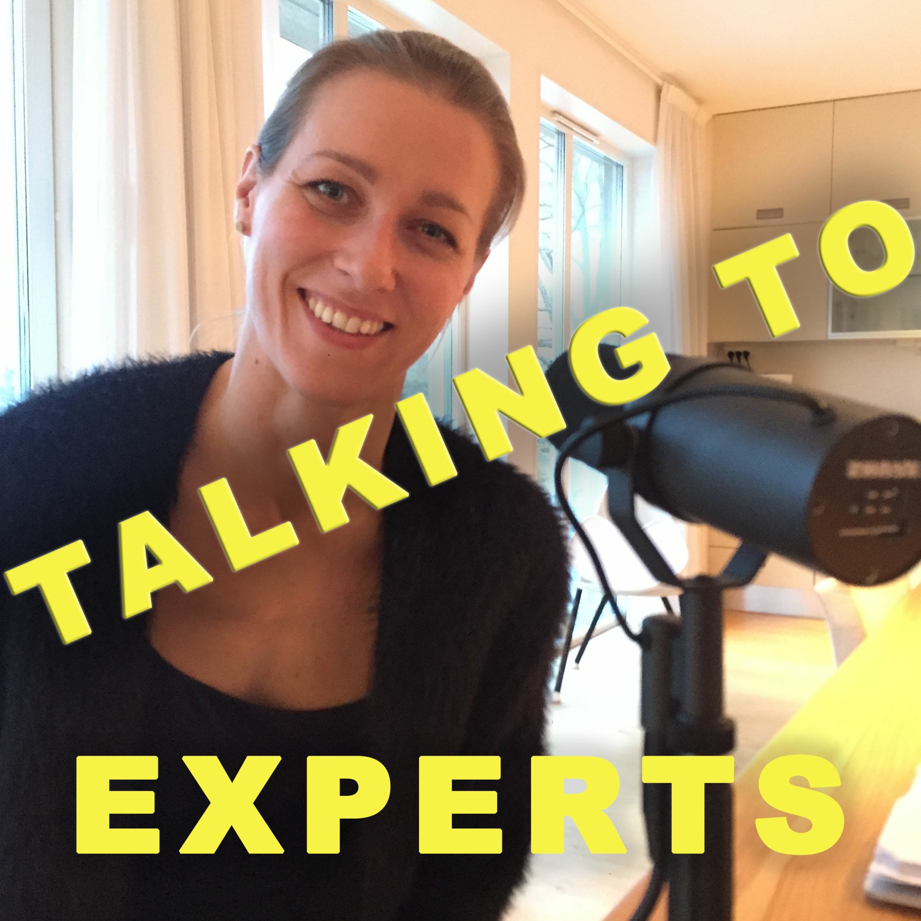 Talking to Experts