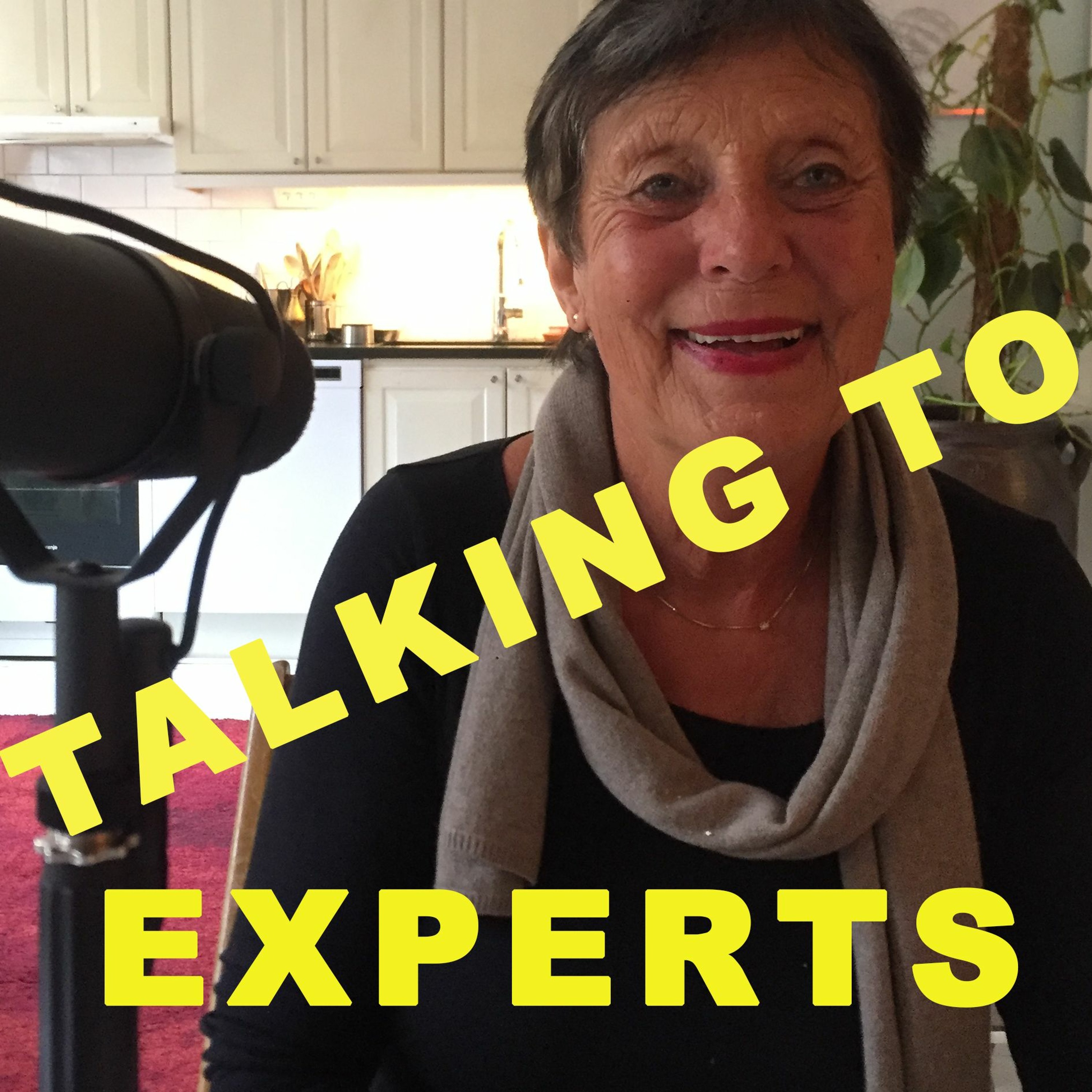 Talking to Experts