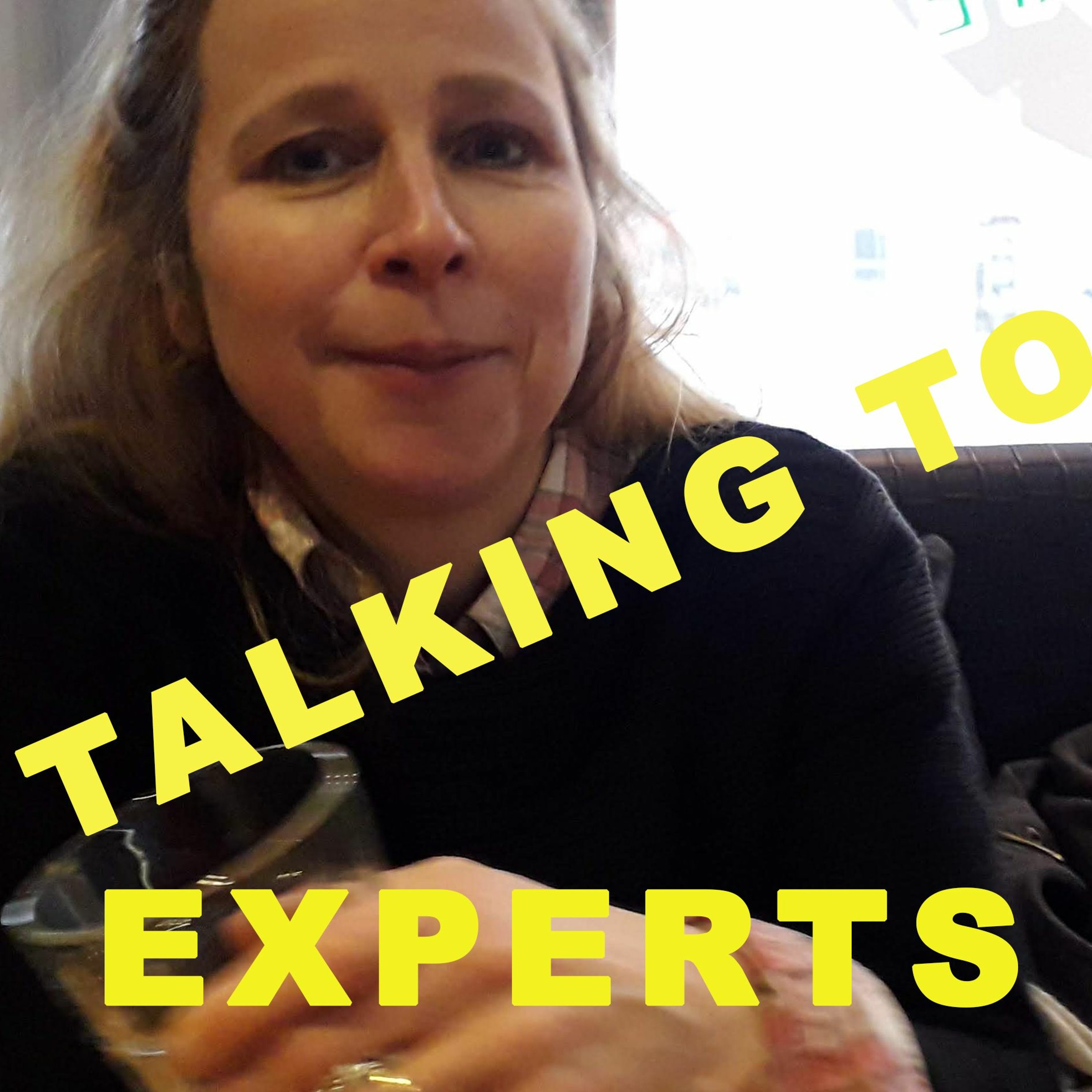 Talking to Experts
