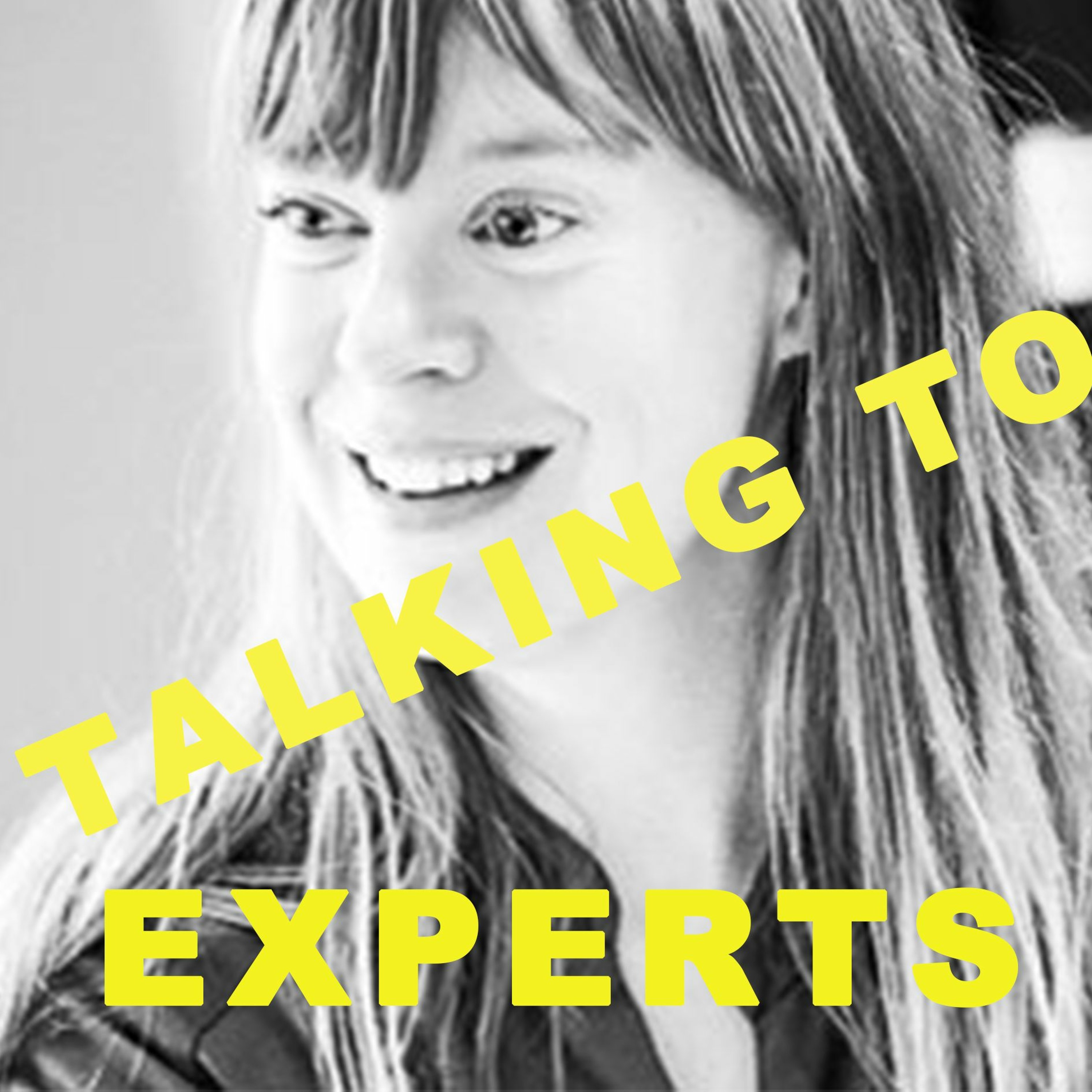 Talking to Experts