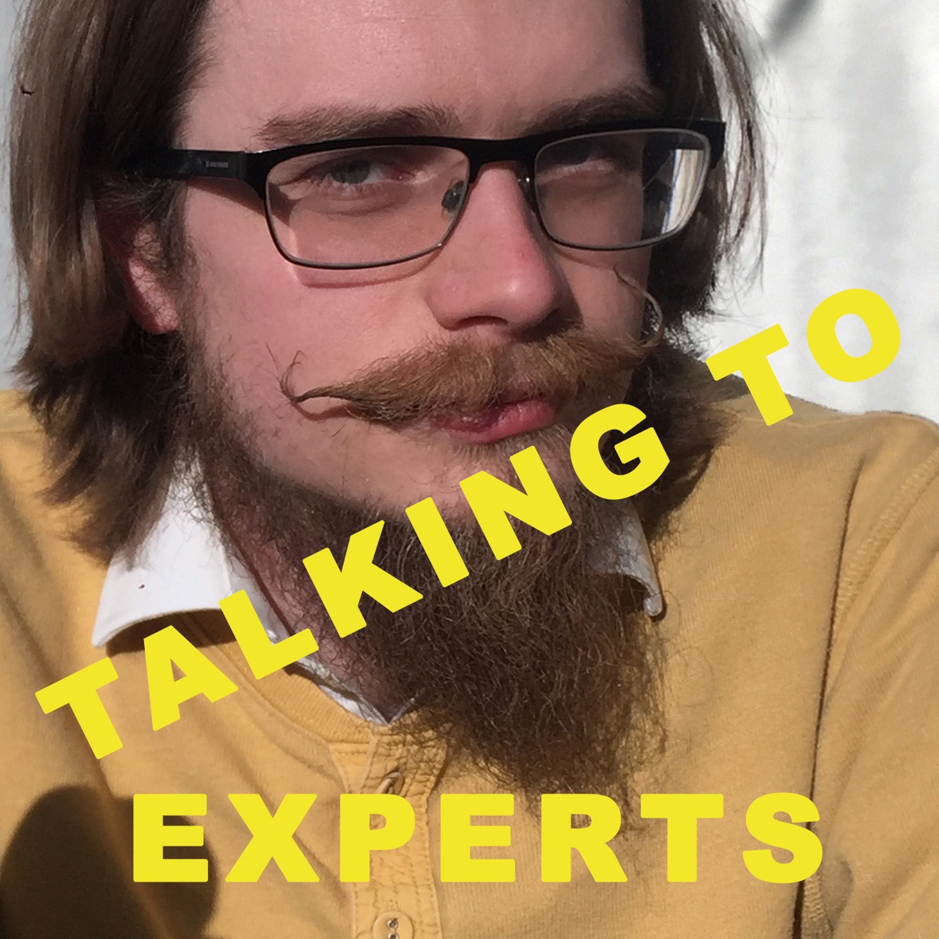 Talking to Experts
