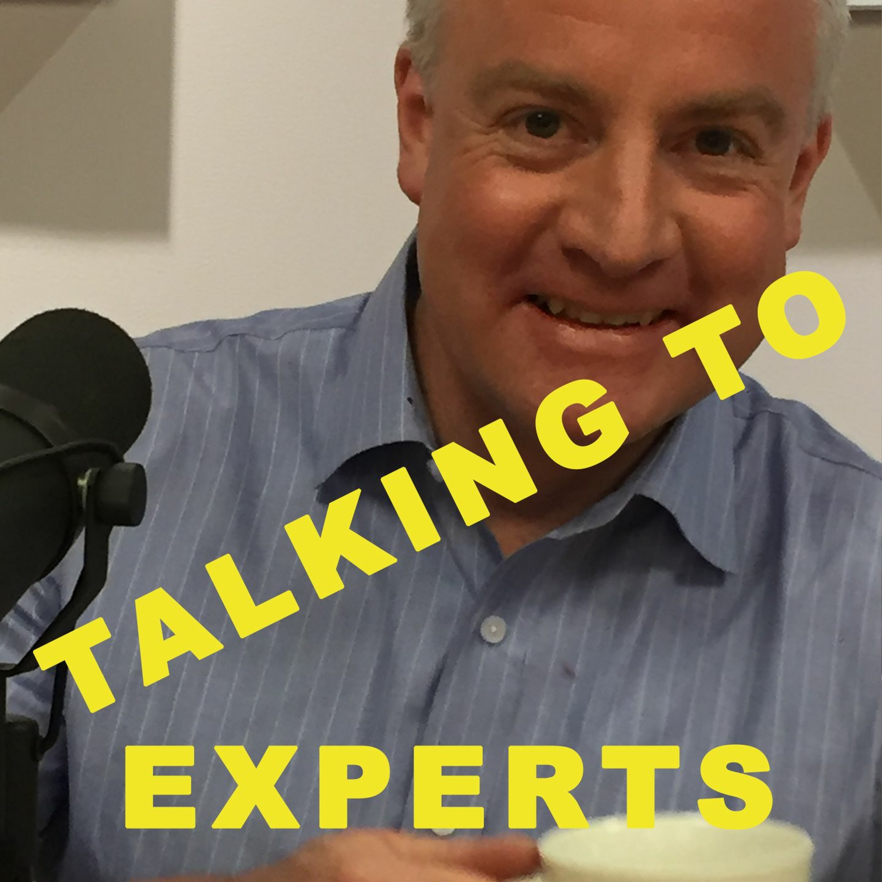 Talking to Experts
