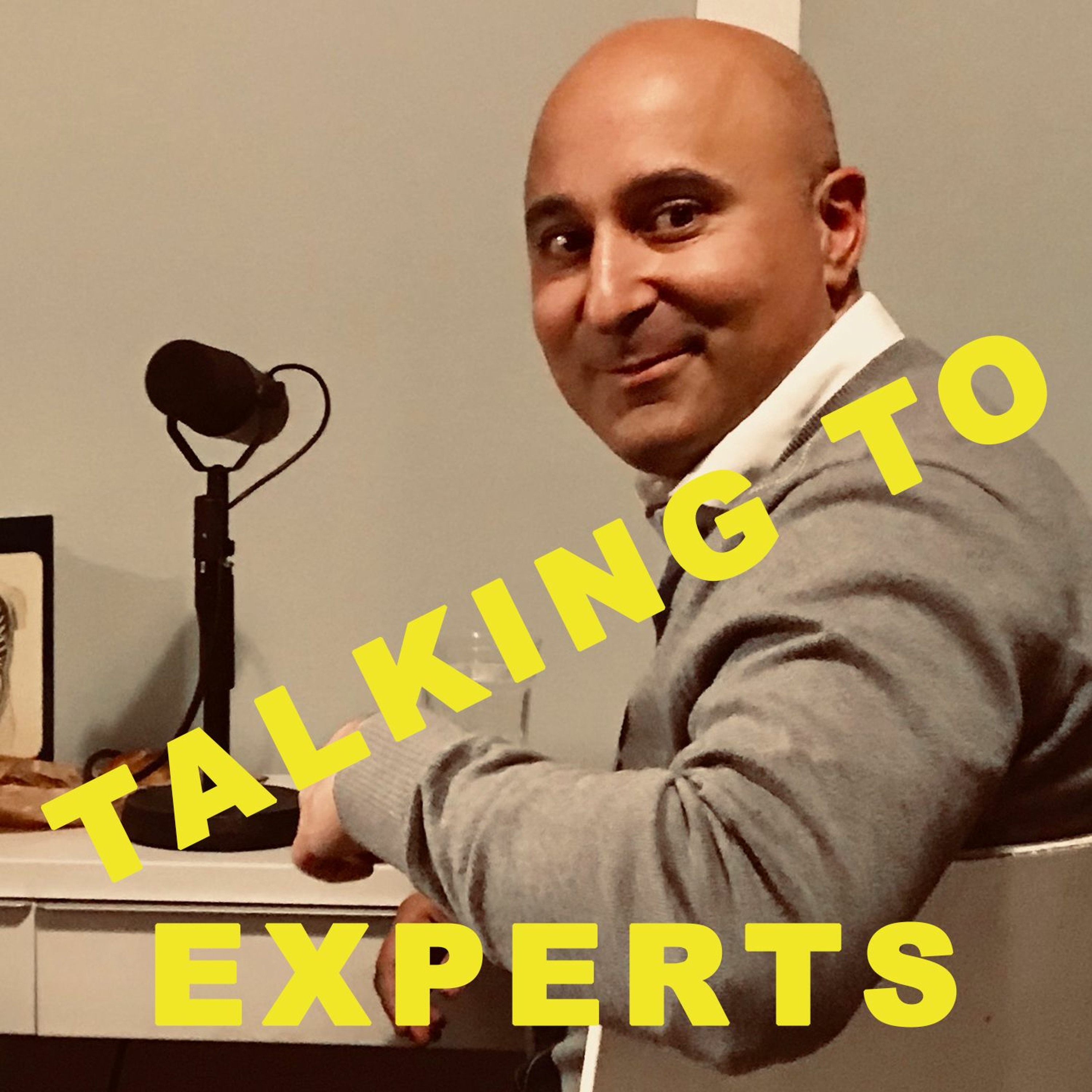 Talking to Experts