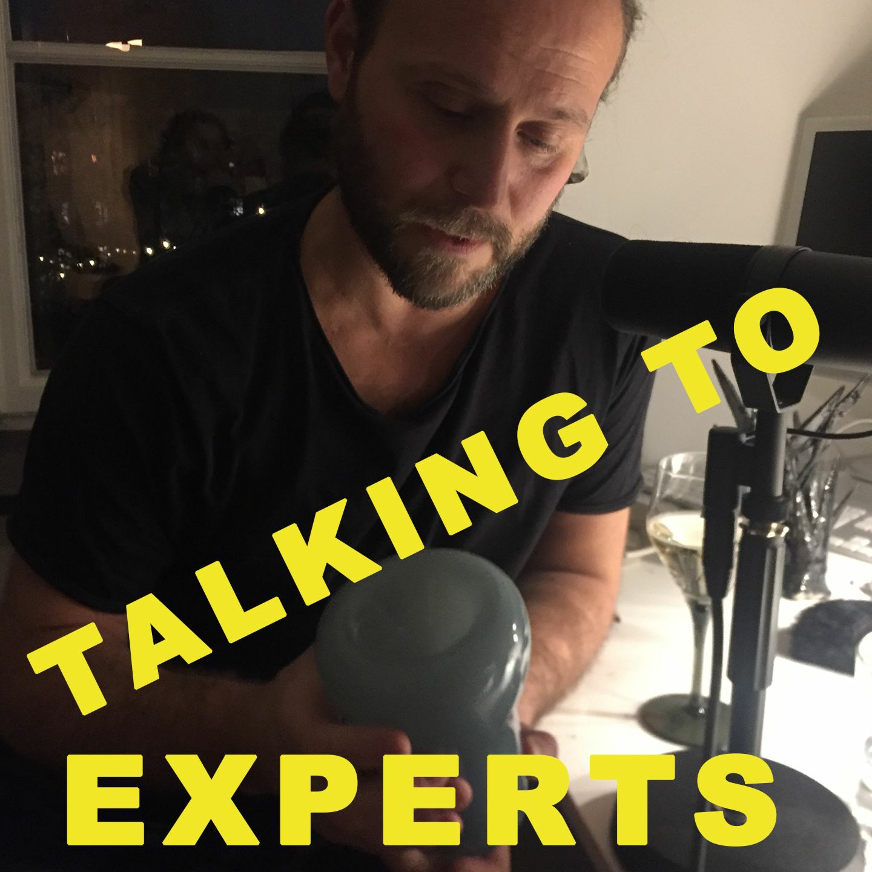 Talking to Experts