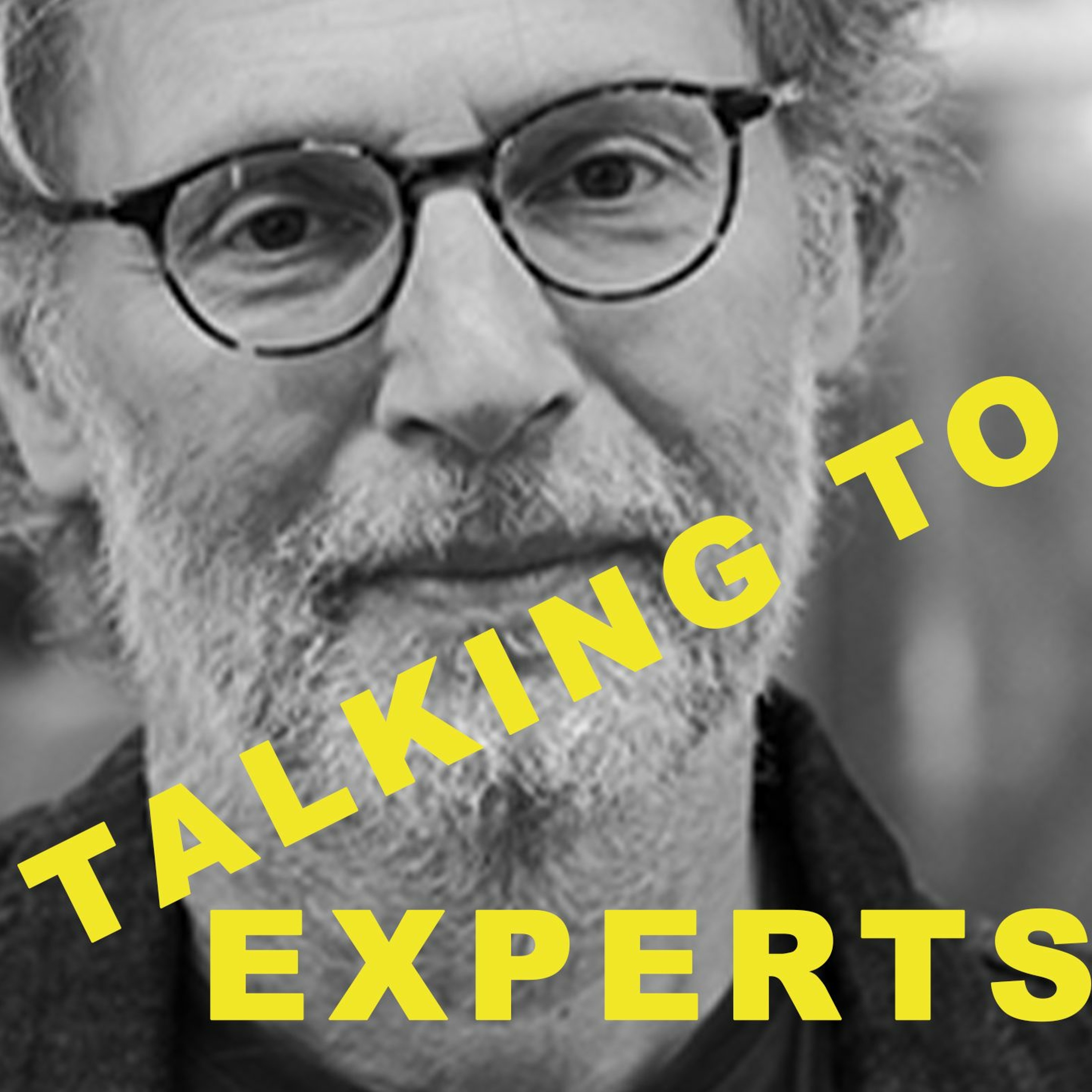 Talking to Experts