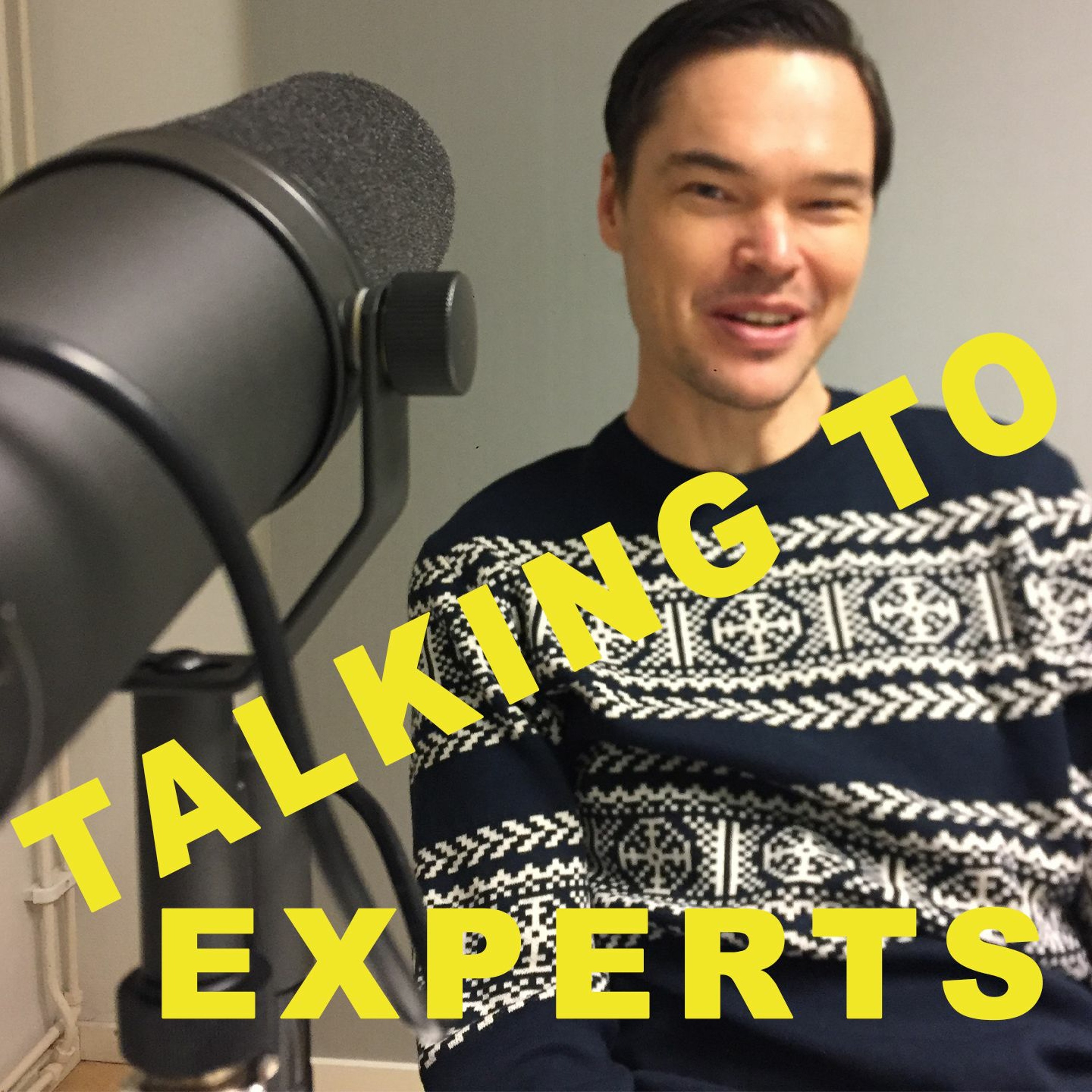 Talking to Experts