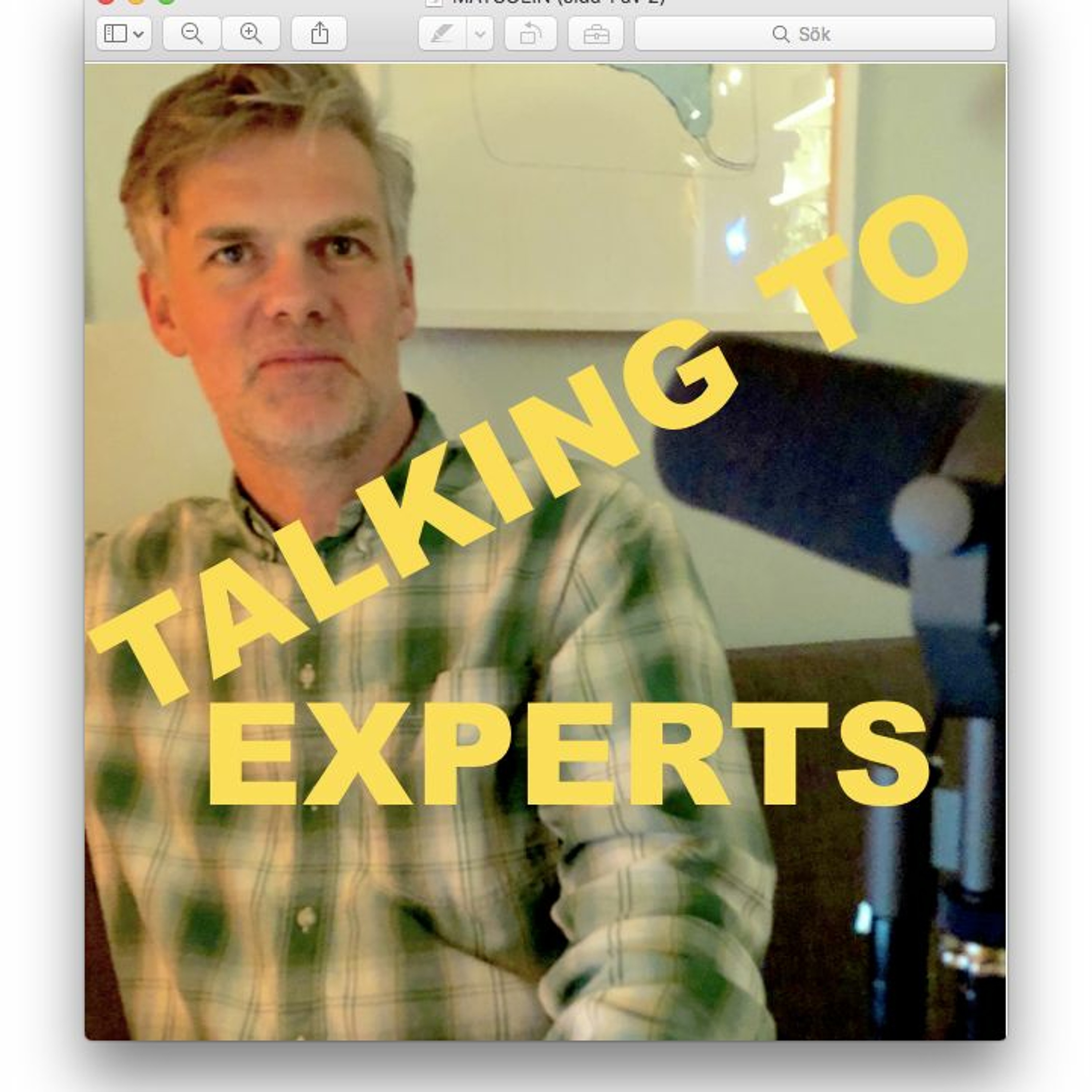 Talking to Experts