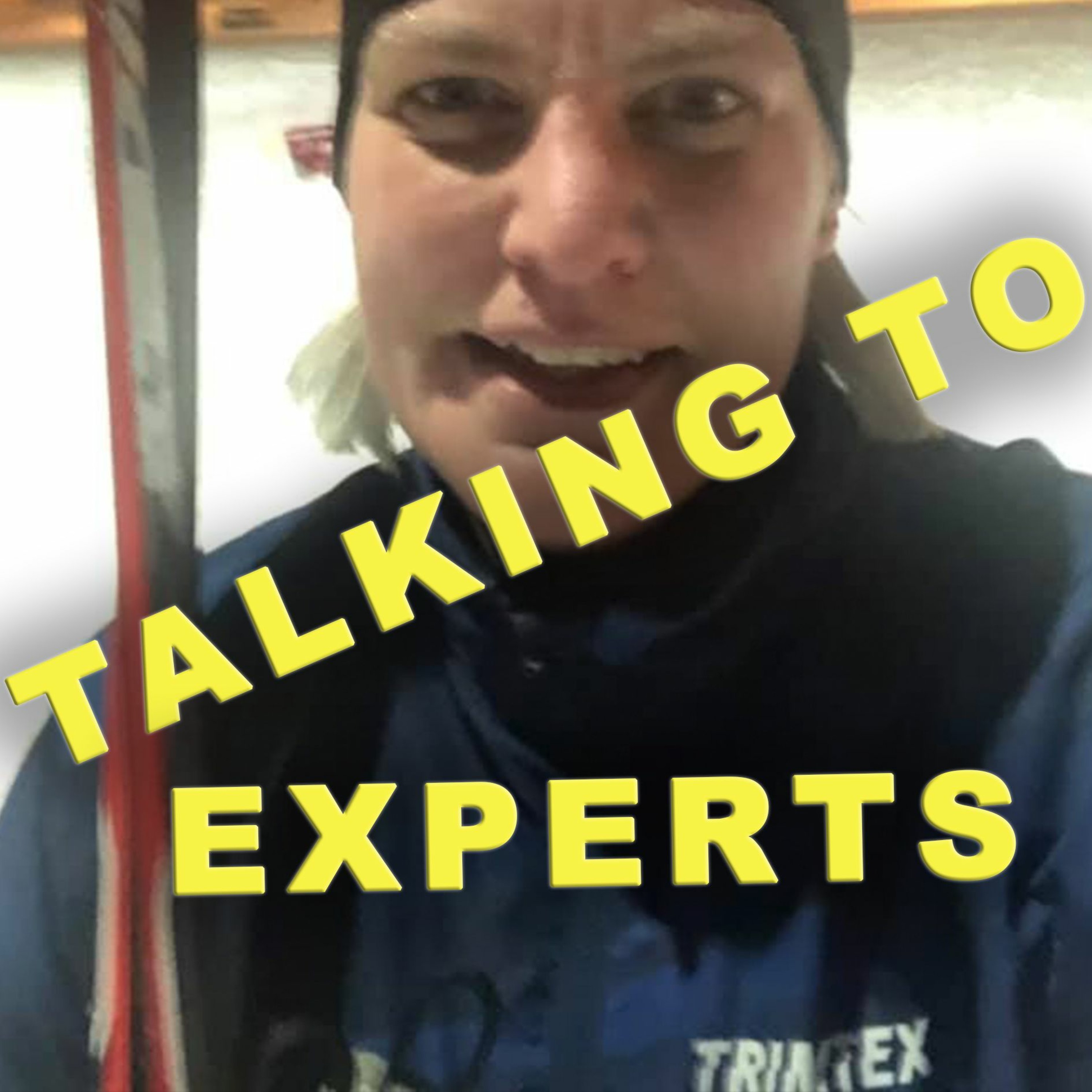 Talking to Experts