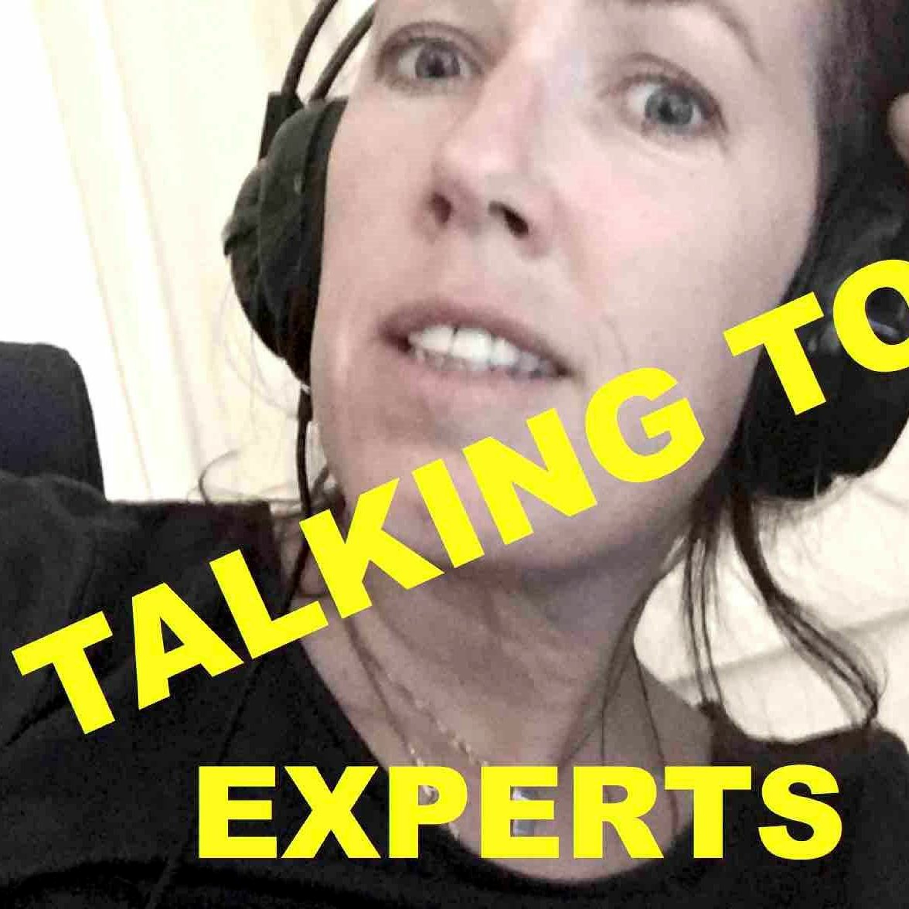 Talking to Experts