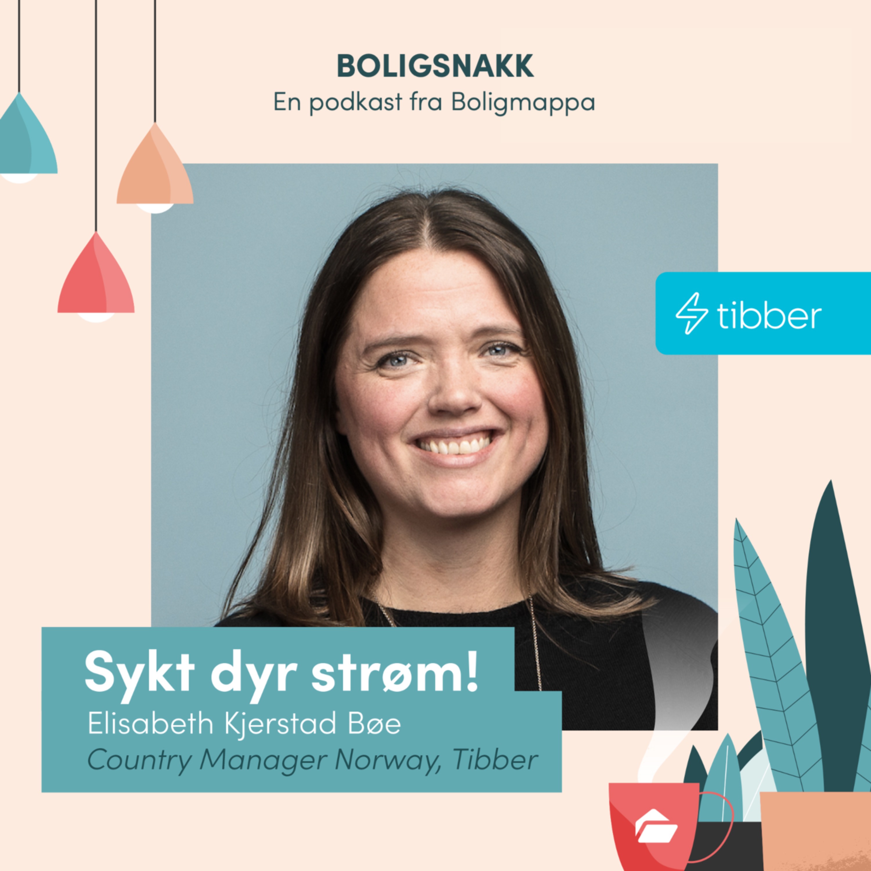 Boligsnakk