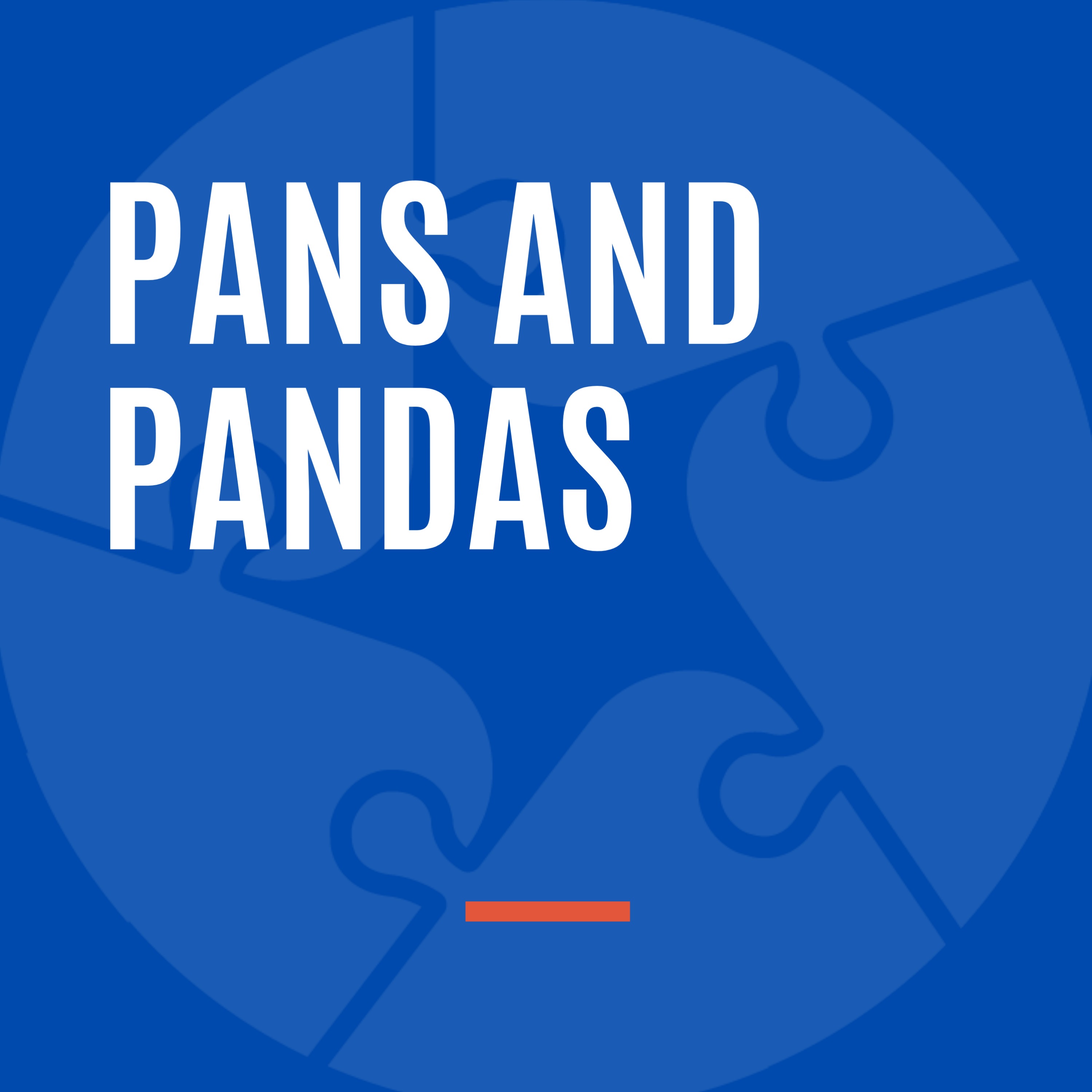 understanding-pans-and-pandas-solving-the-puzzle-with-dr-datis