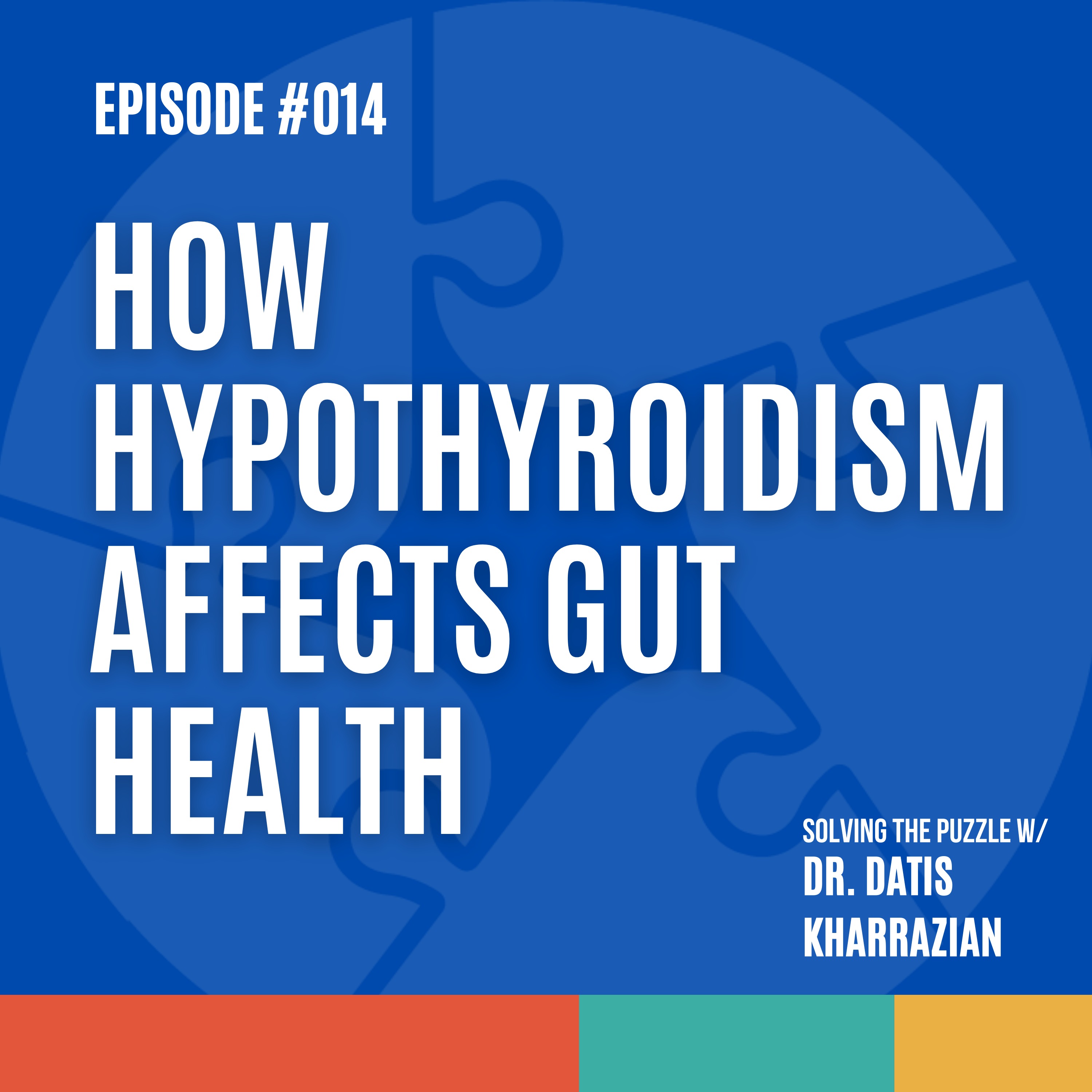 Solving the Puzzle with Dr. Datis Kharrazian