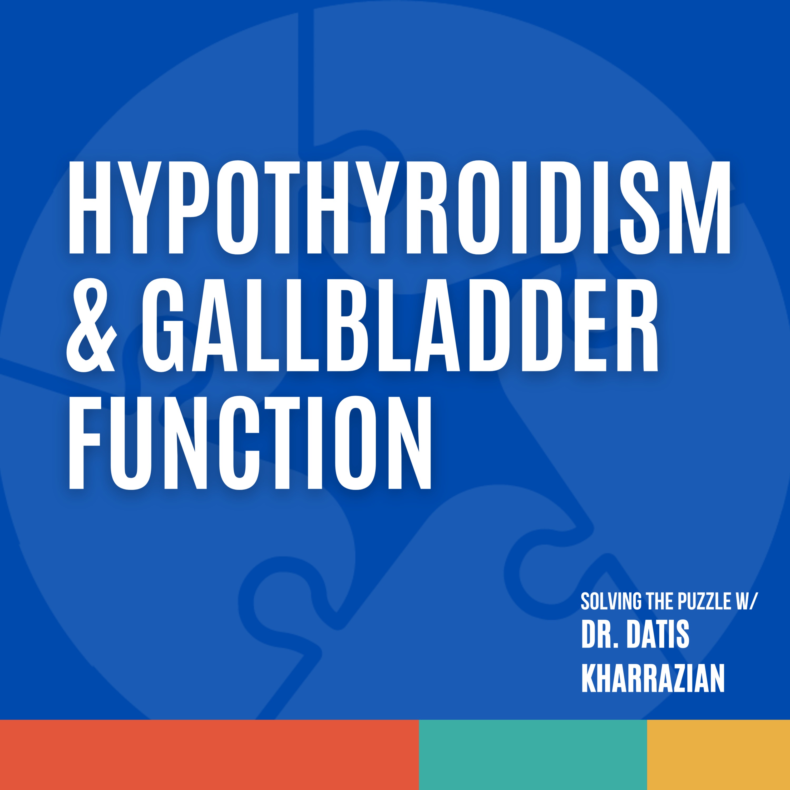 Solving the Puzzle with Dr. Datis Kharrazian