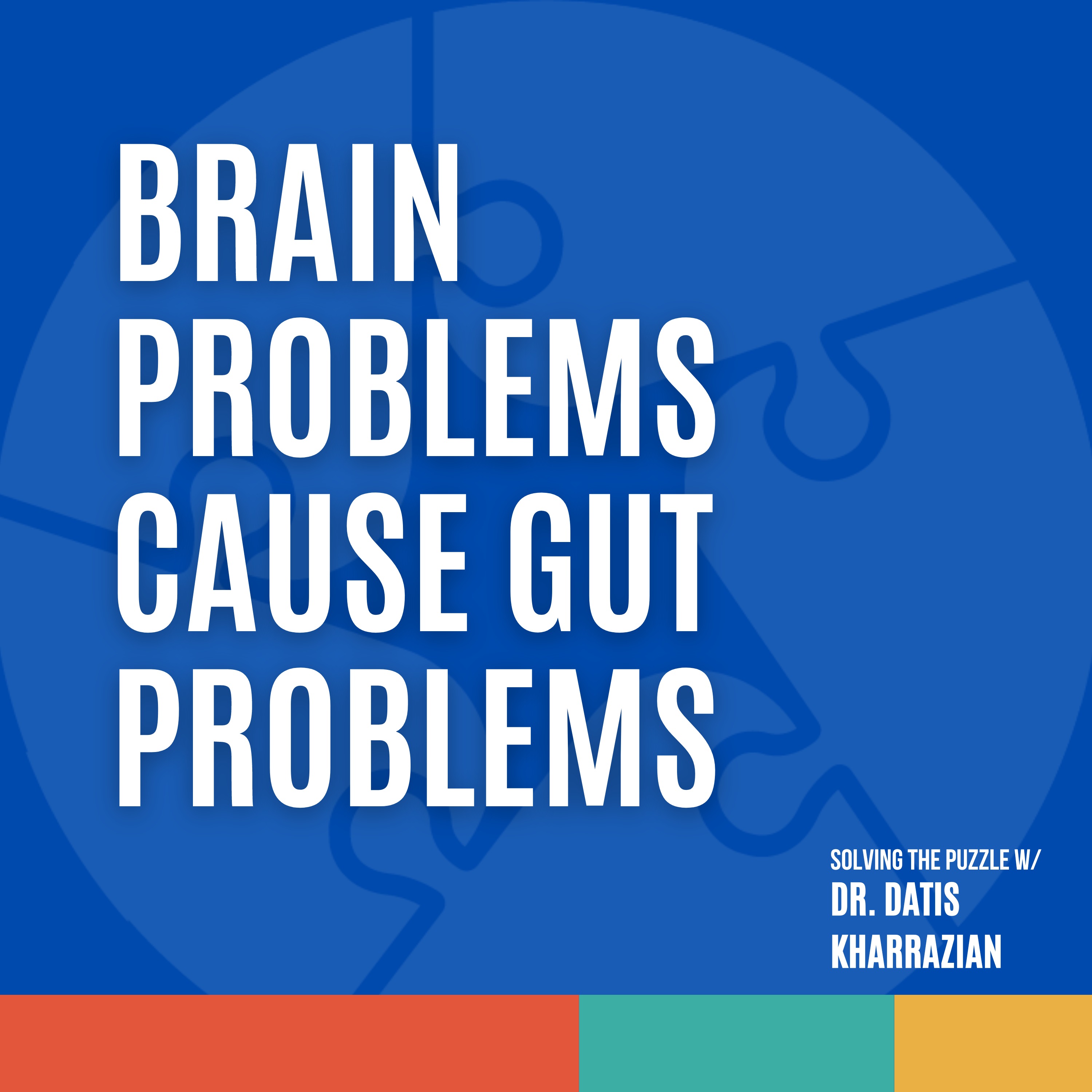 Solving the Puzzle with Dr. Datis Kharrazian