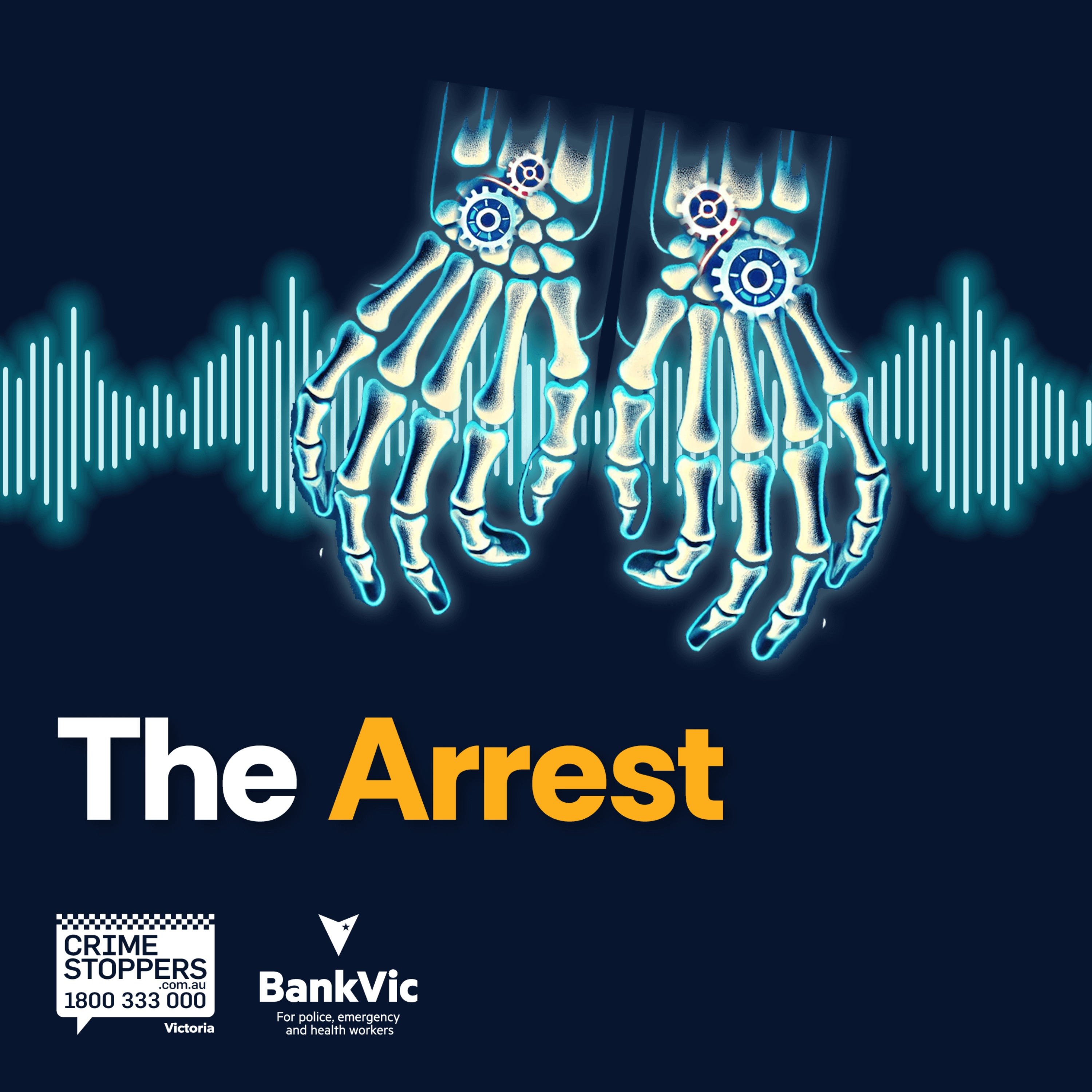 Anatomy of a Scam - The Arrest episode artwork