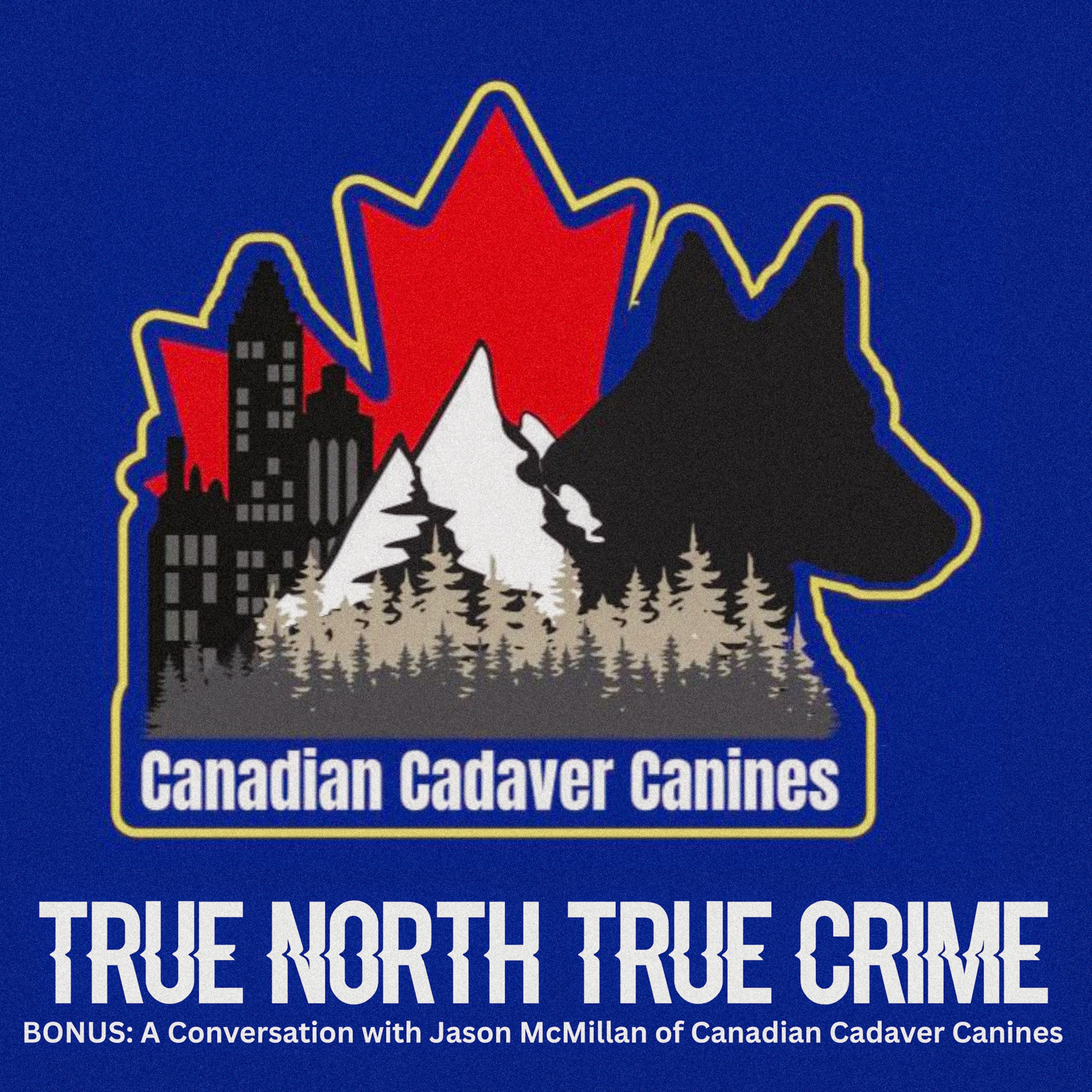 Inside the World of Cadaver Canines