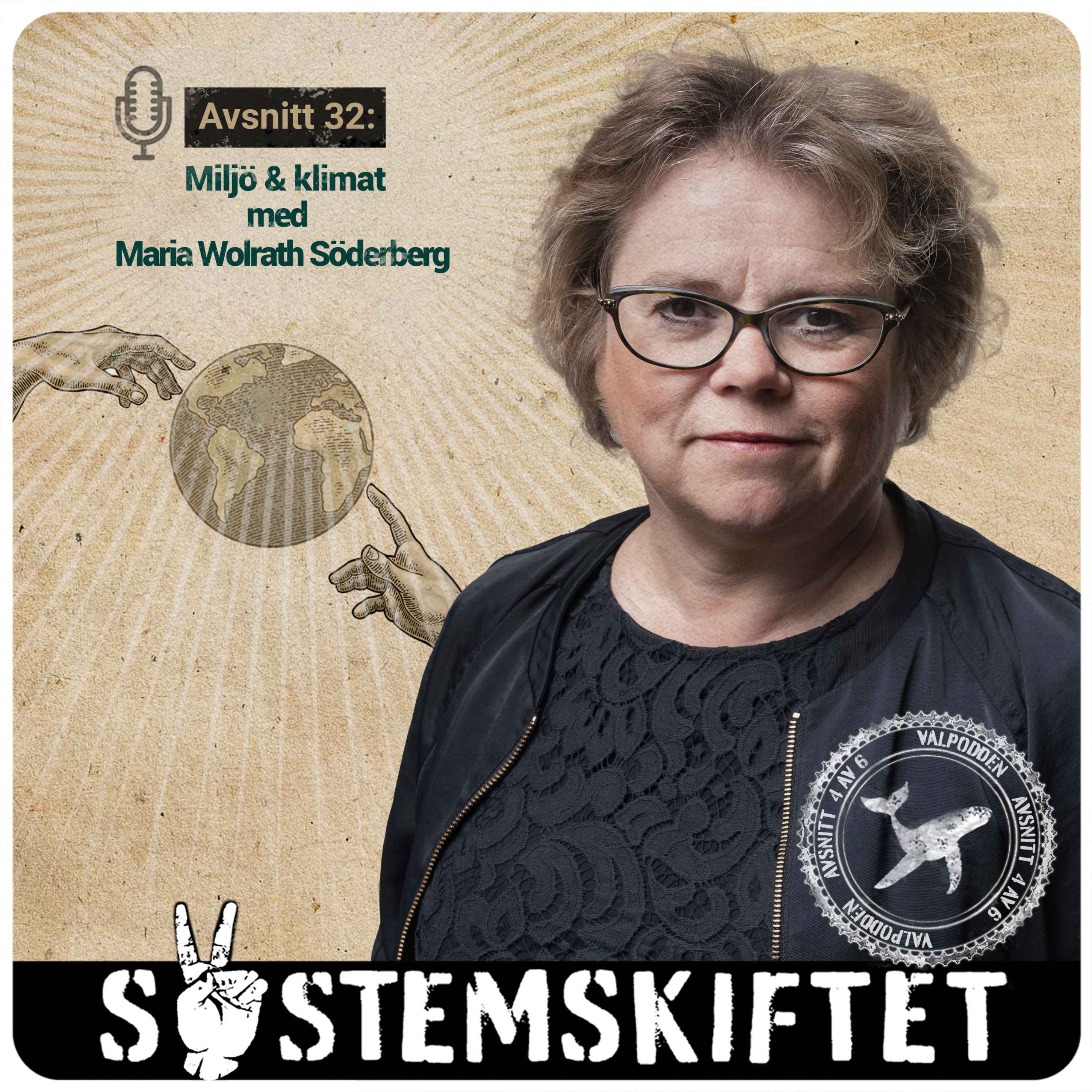 cover art for Valspecial, del 4/6: Miljö & Klimat med Maria Wolrath-Söderberg