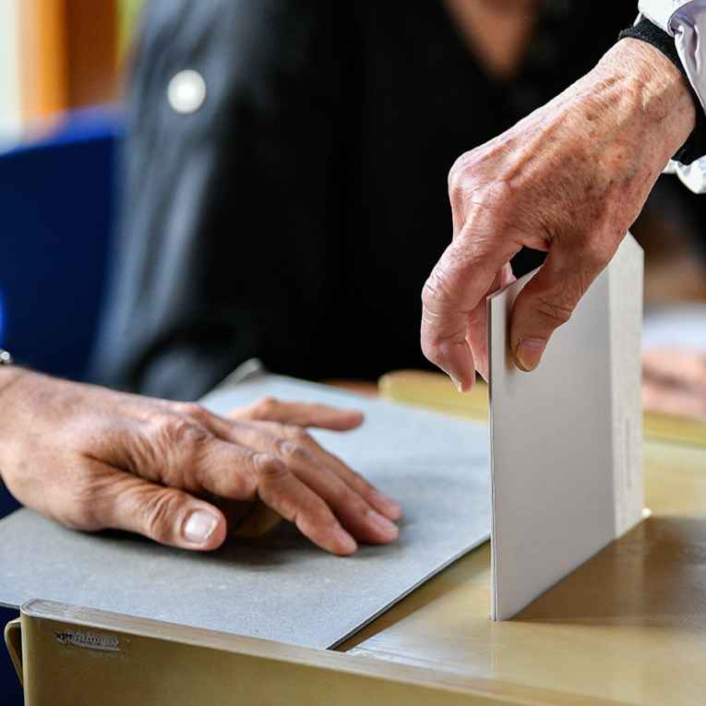 Voting in a Time of Democratic Erosion | Francesca Binda
