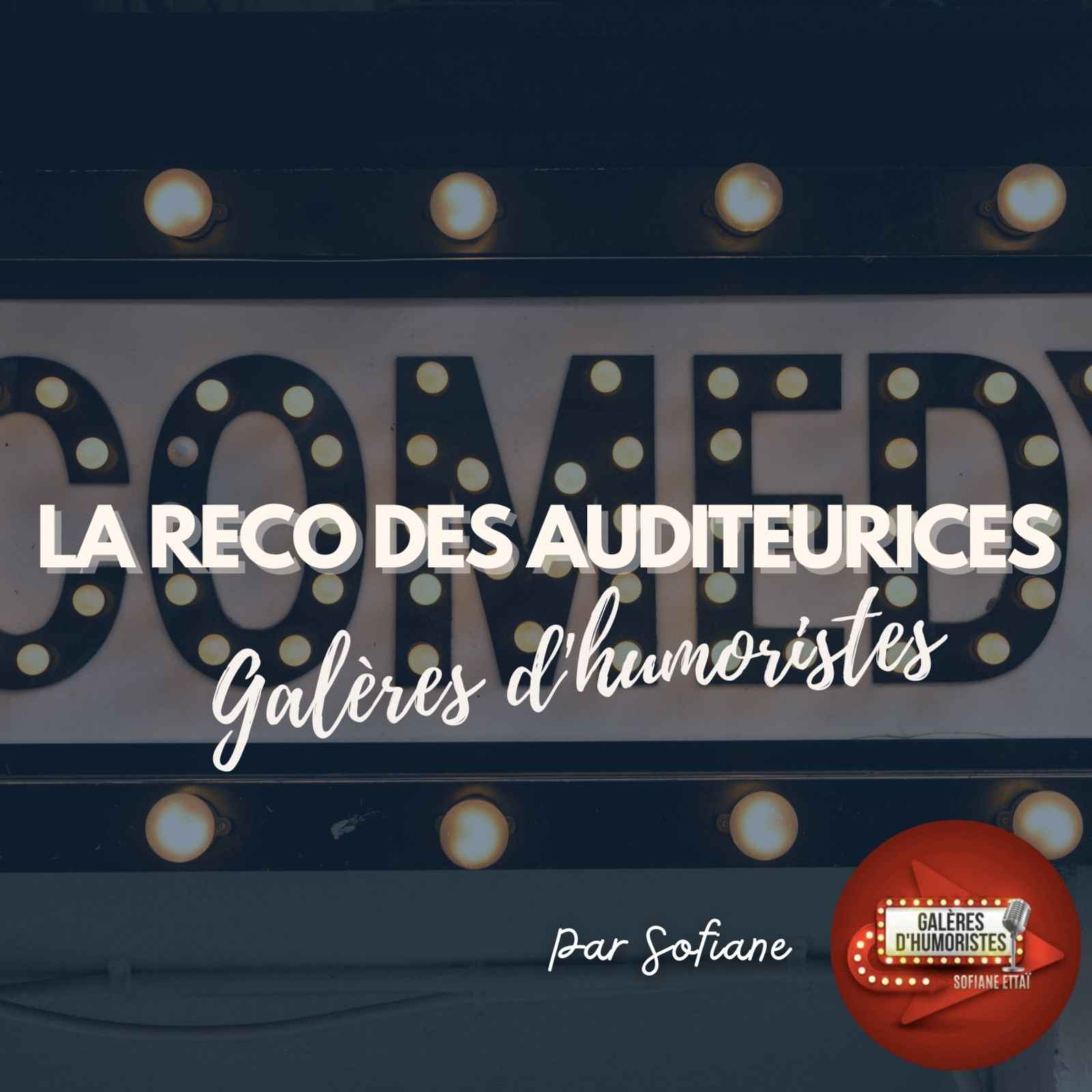 La reco des auditeurices : Galères d'humoristes