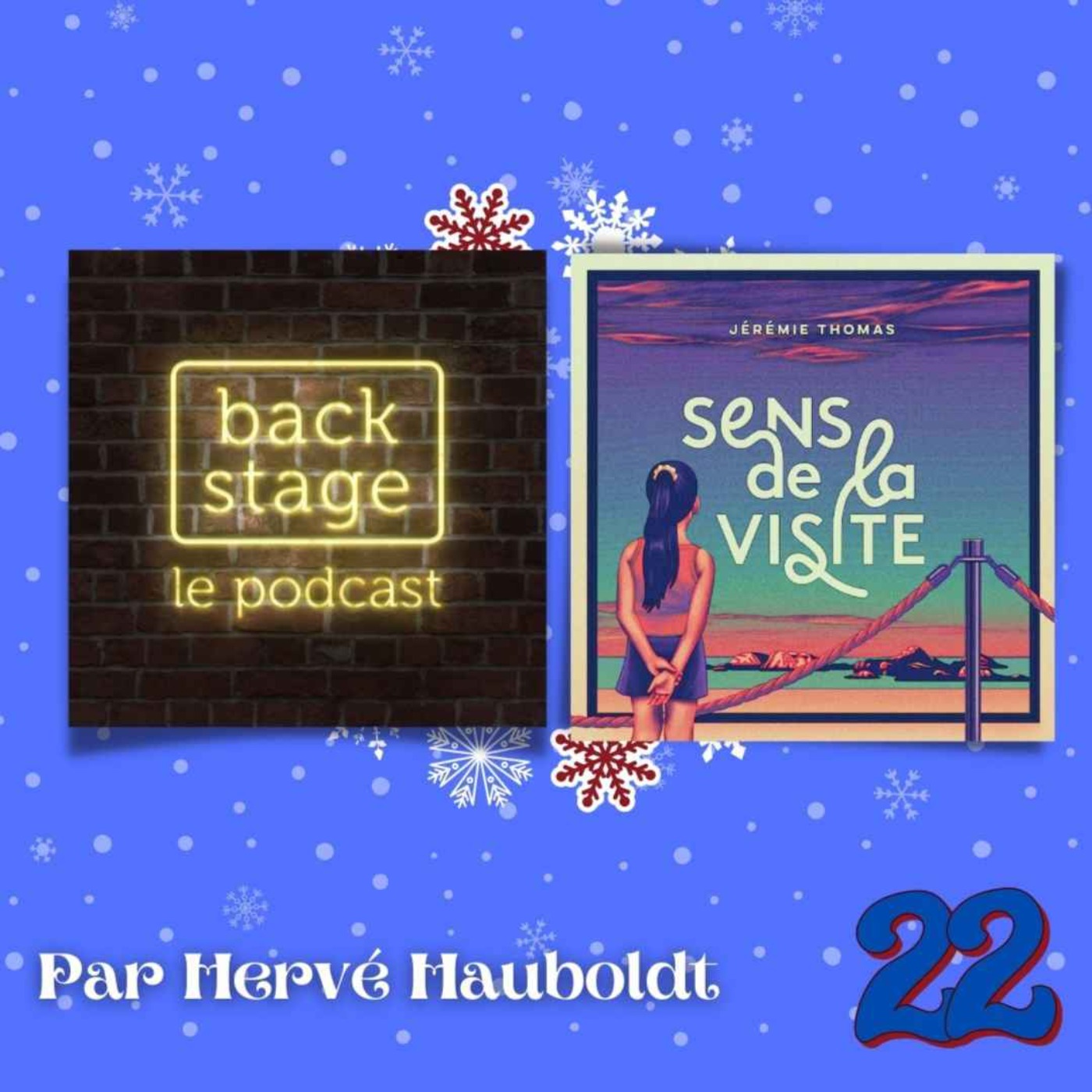 cover art for 22 décembre : Backstage & Sens de la Visite avec Hervé