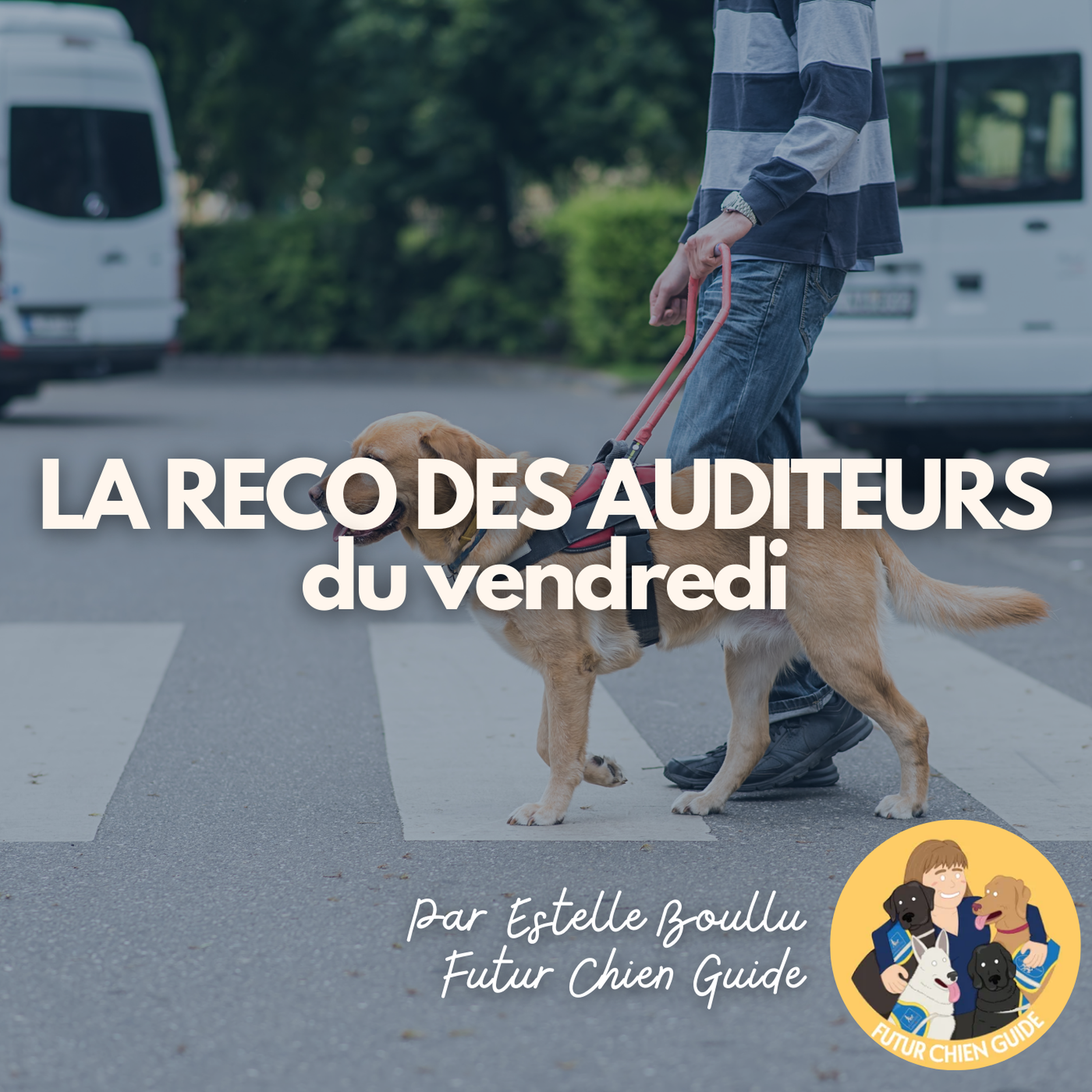 La Reco des Auditeurices : Futur Chien Guide