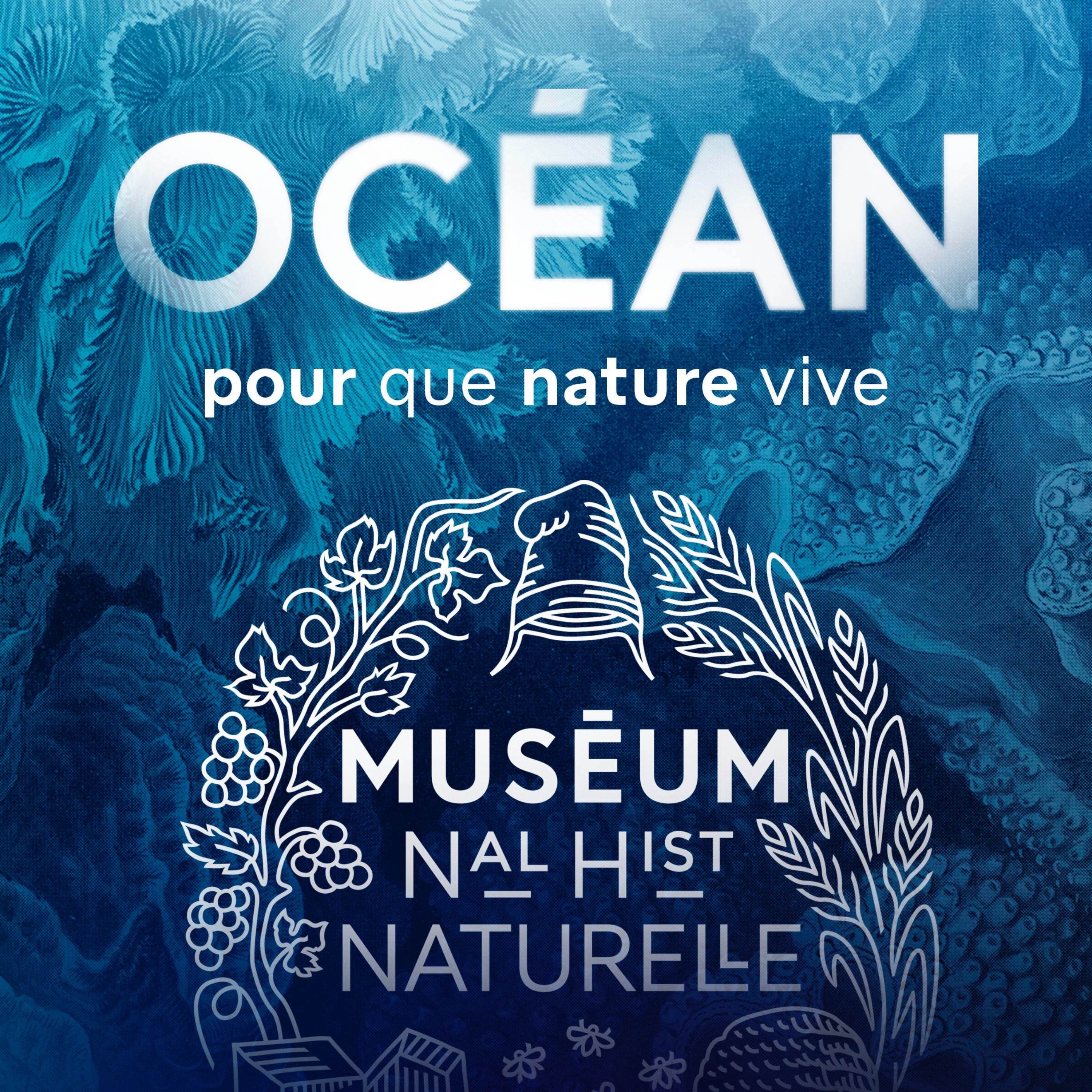 cover art for Comment le public peut-il participer à la connaissance et à la protection de l’océan ? 