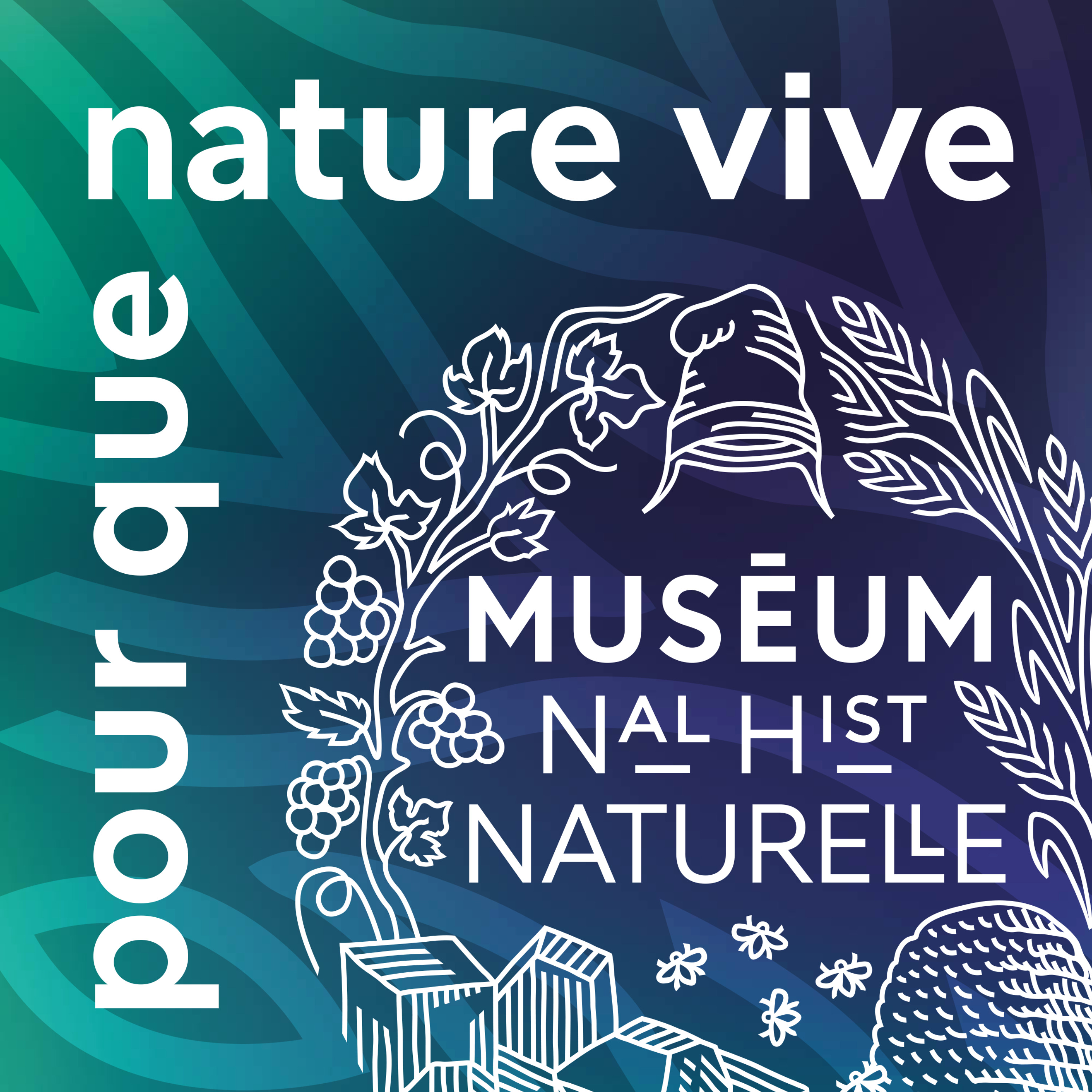 Que dit notre génome de l’évolution de nos systèmes familiaux ? episode artwork