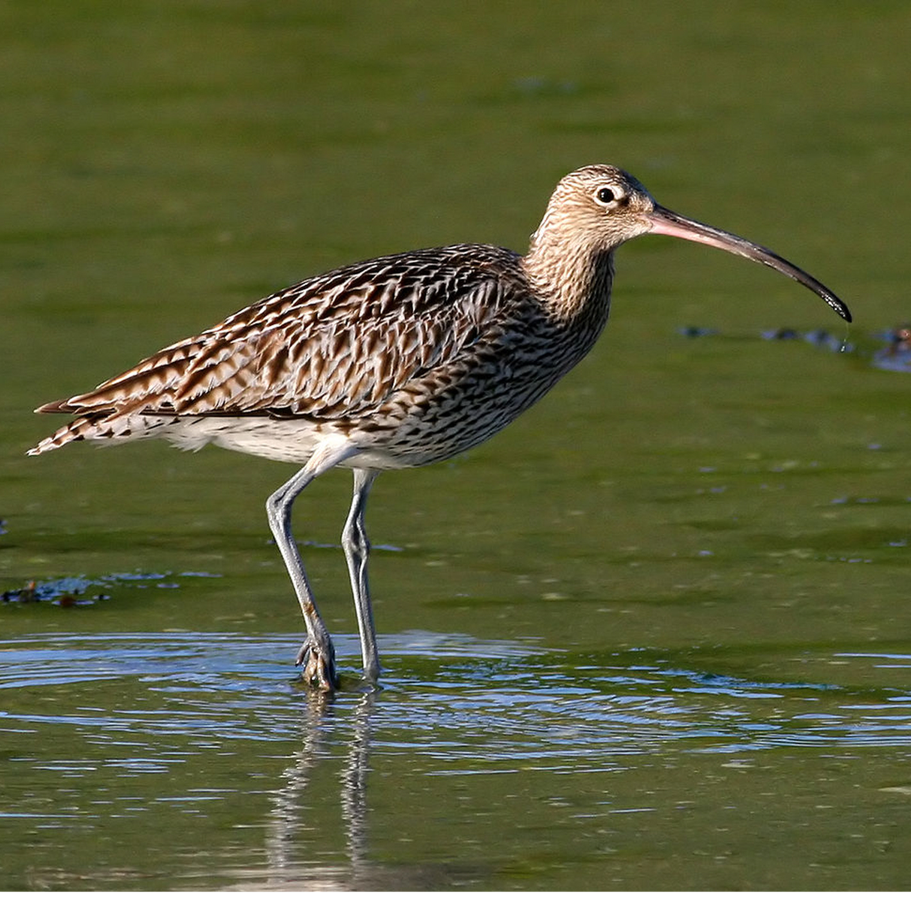 Les sons de l’actu