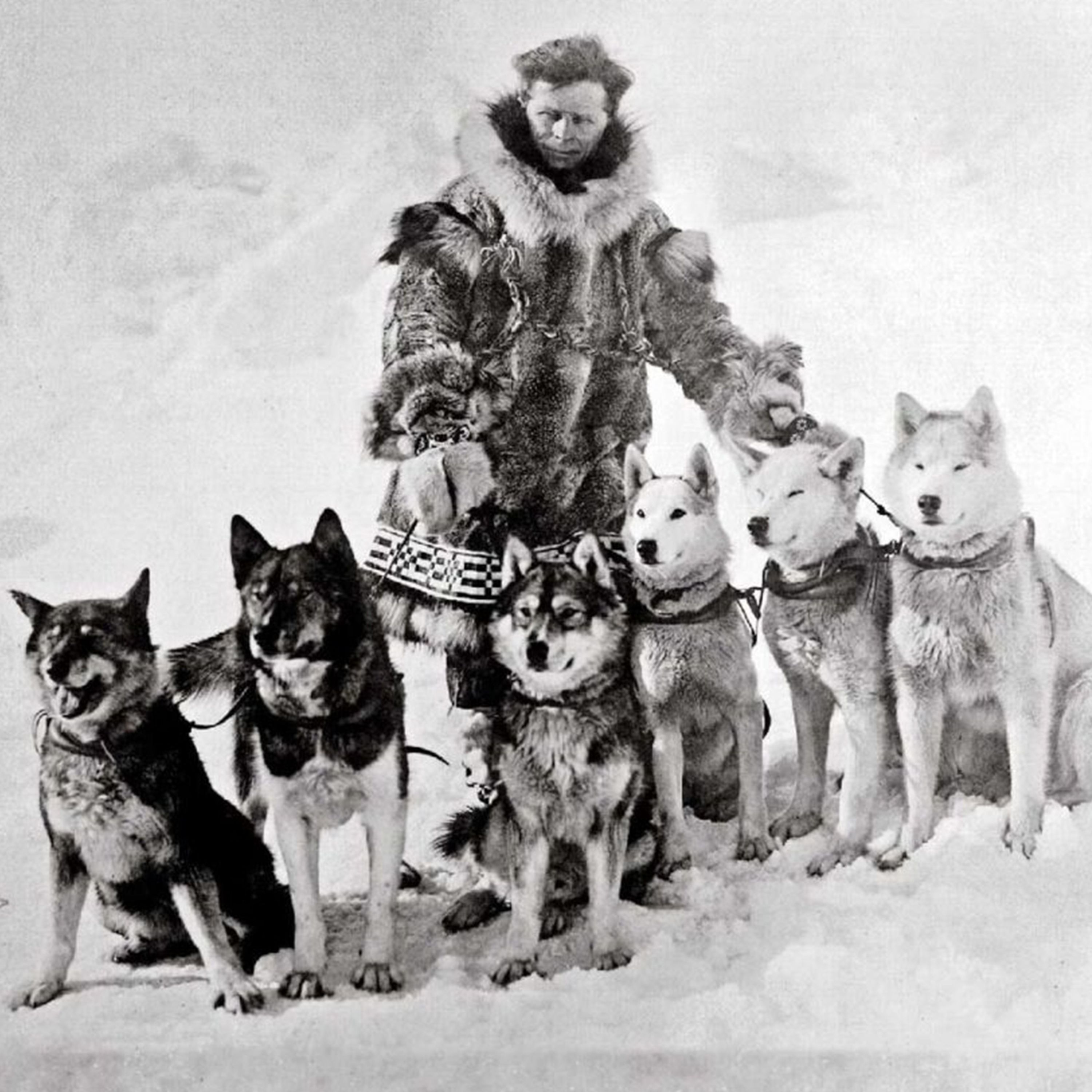 C'est arrivé le 21 février 1925 : la course de chiens qui a sauvé une ville d'une épidémie mortelle