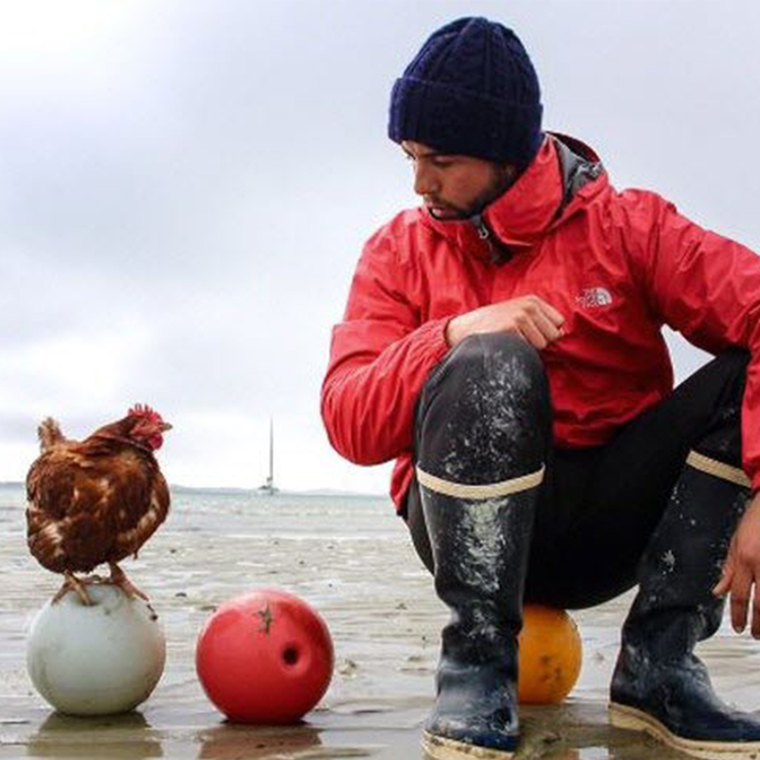 Il a fait le tour du monde en voilier avec sa poule Monique