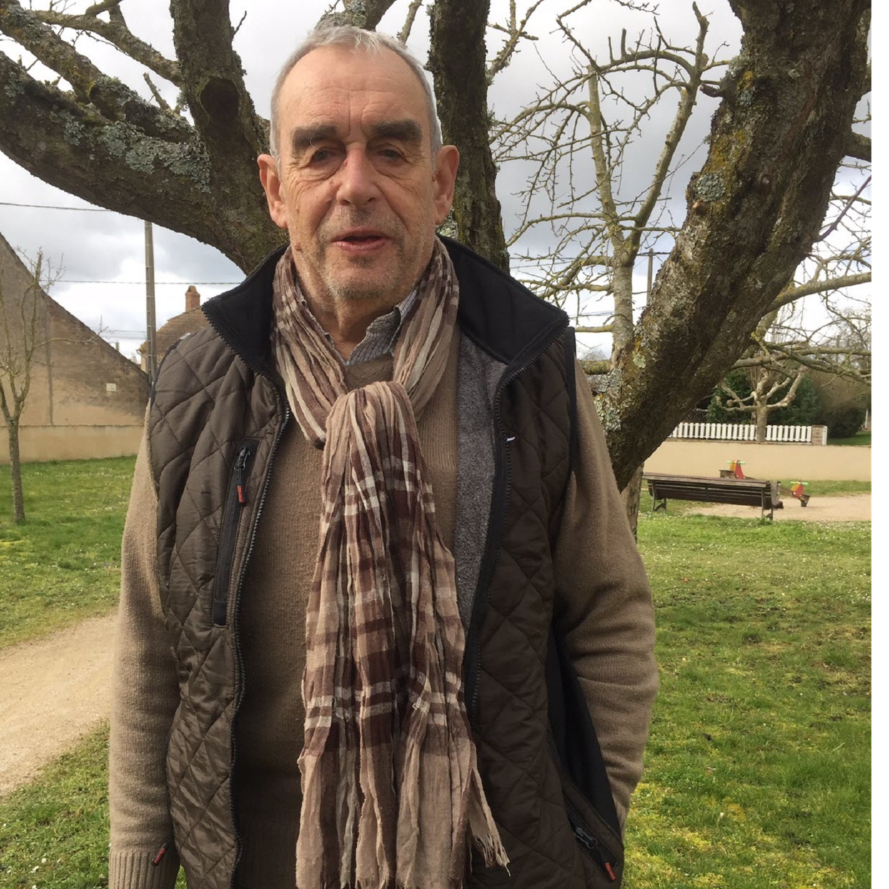Chevreuil égaré à Dole: l'avis du patron de la chasse dans le Jura