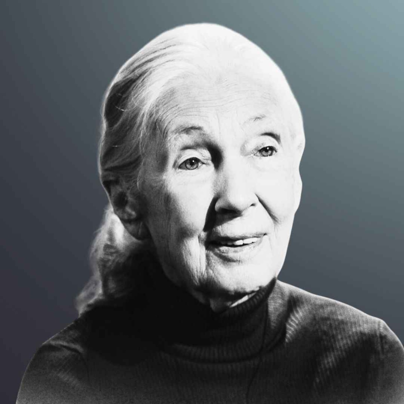 Les derniers mots de Jane Goodall, primatologue et voix de sagesse
