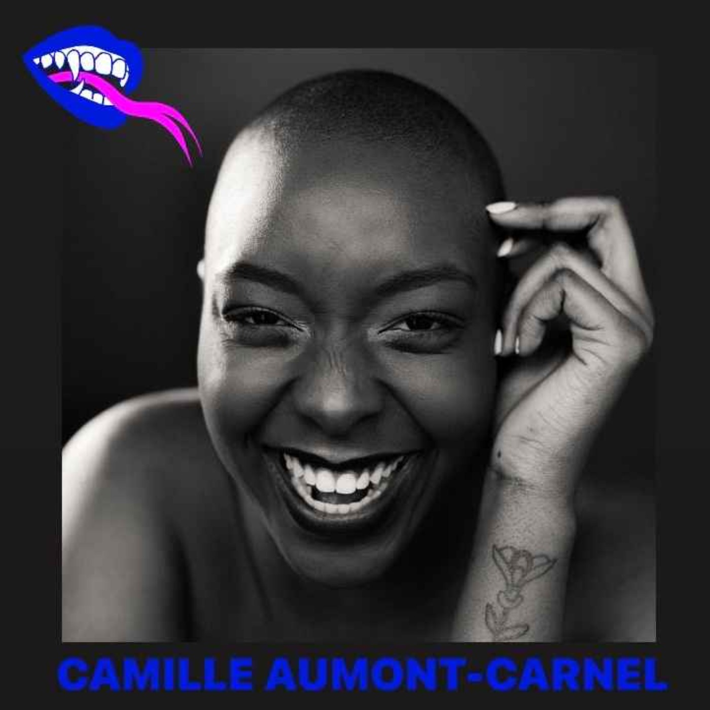 Les mots du Q avec Camille Aumont Carnel episode artwork