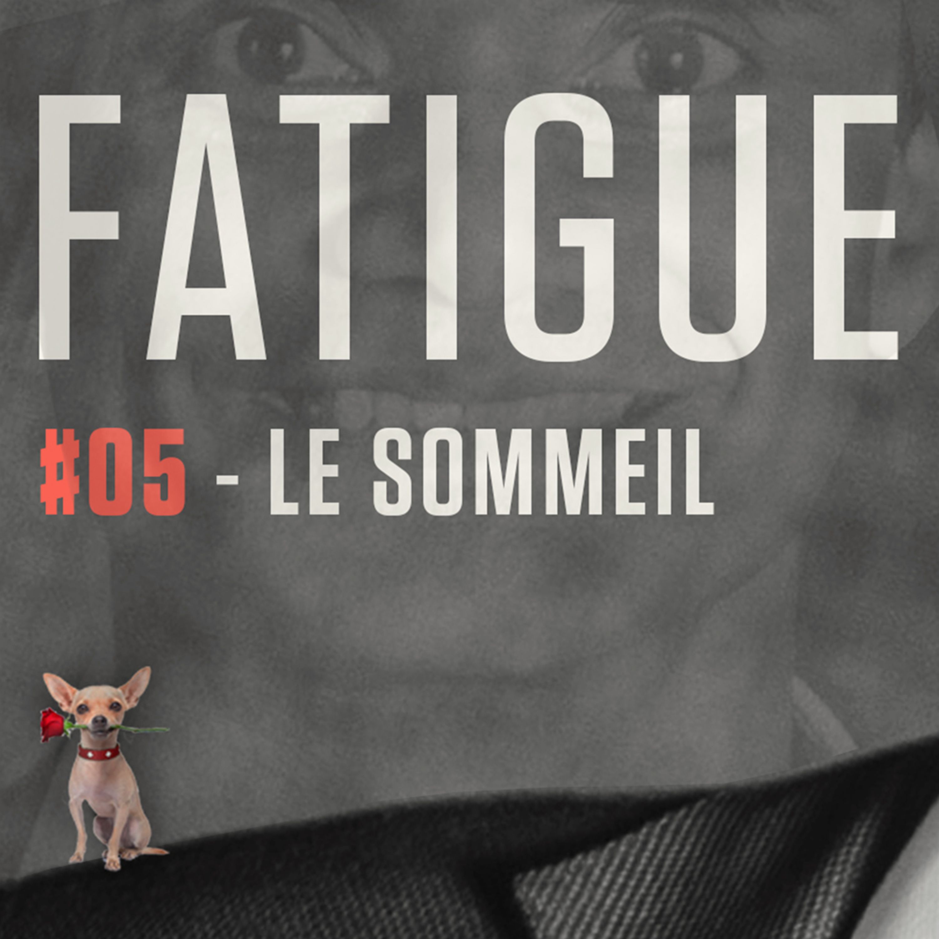 FATIGUE - LE SOMMEIL