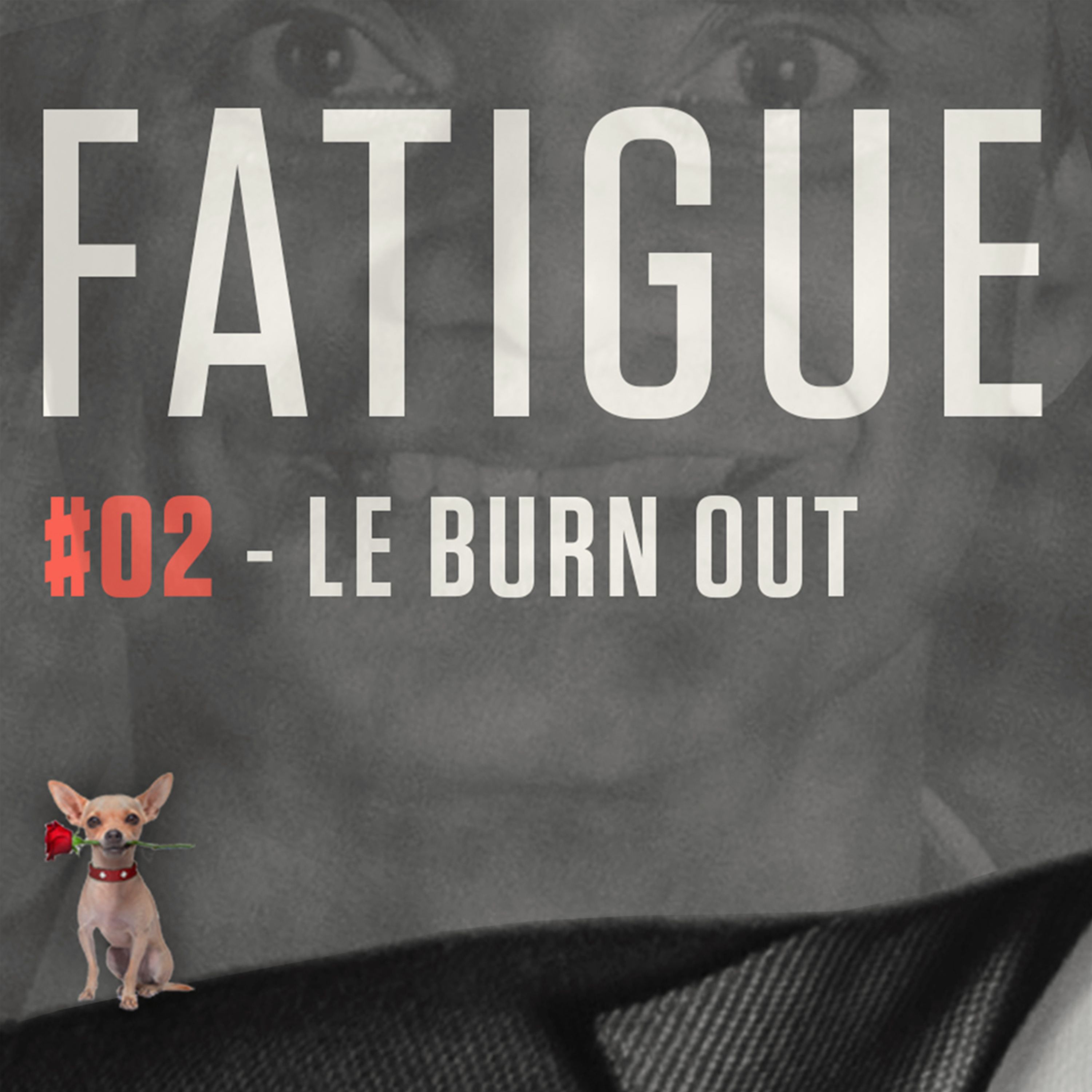 FATIGUE - LE BURN OUT