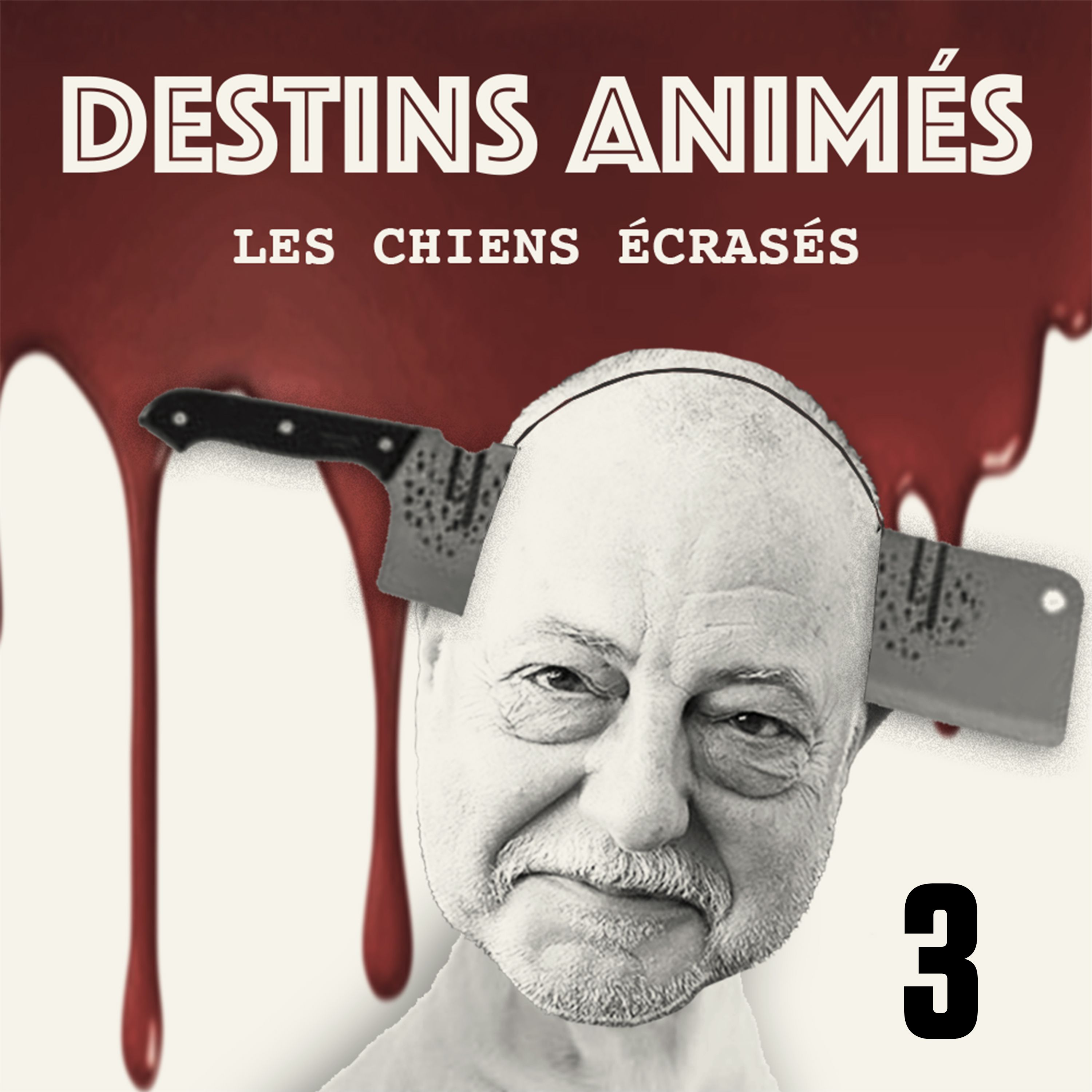 cover art for DESTINS ANIMÉS - DRAME MYSTÉRIEUX