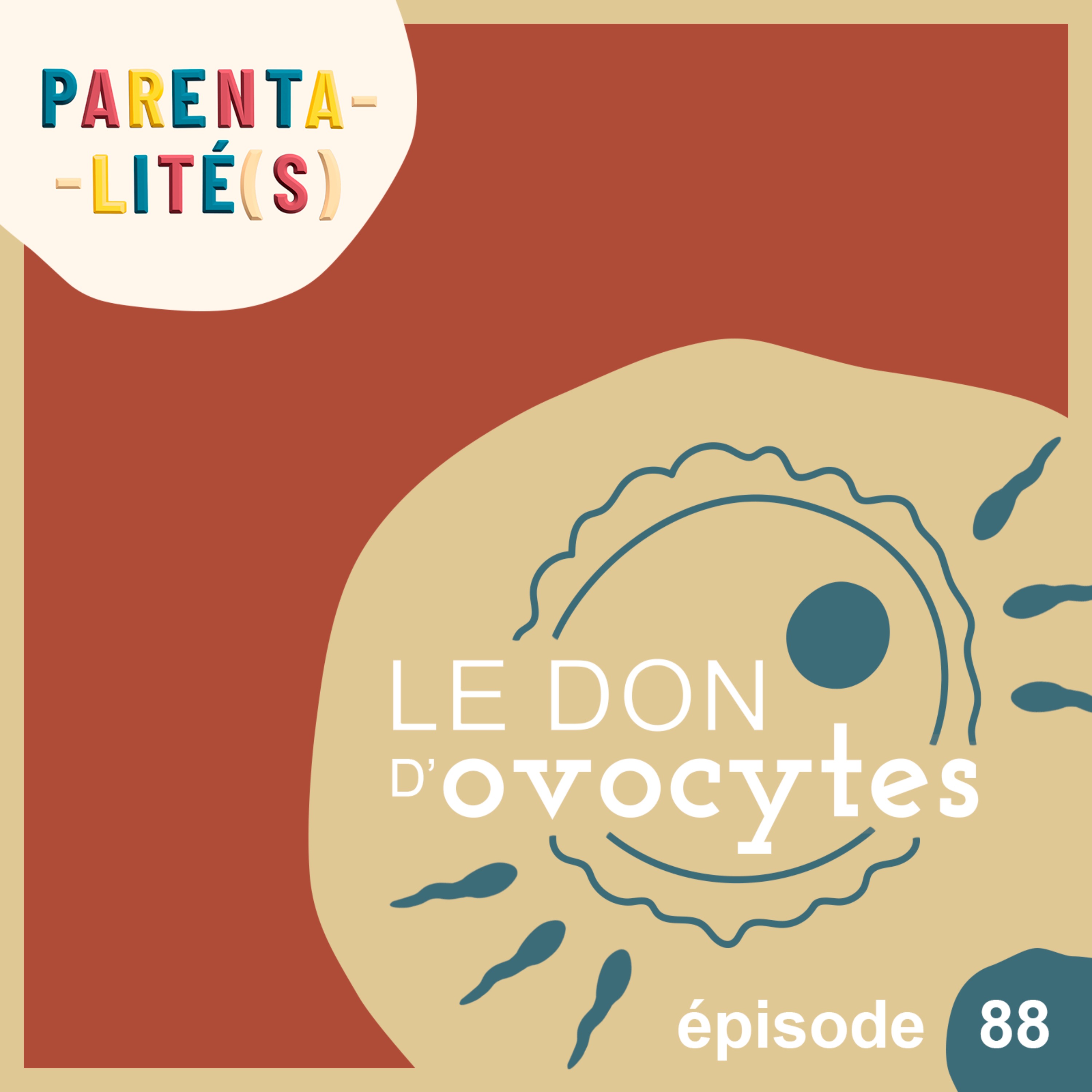 Le don d’ovocytes