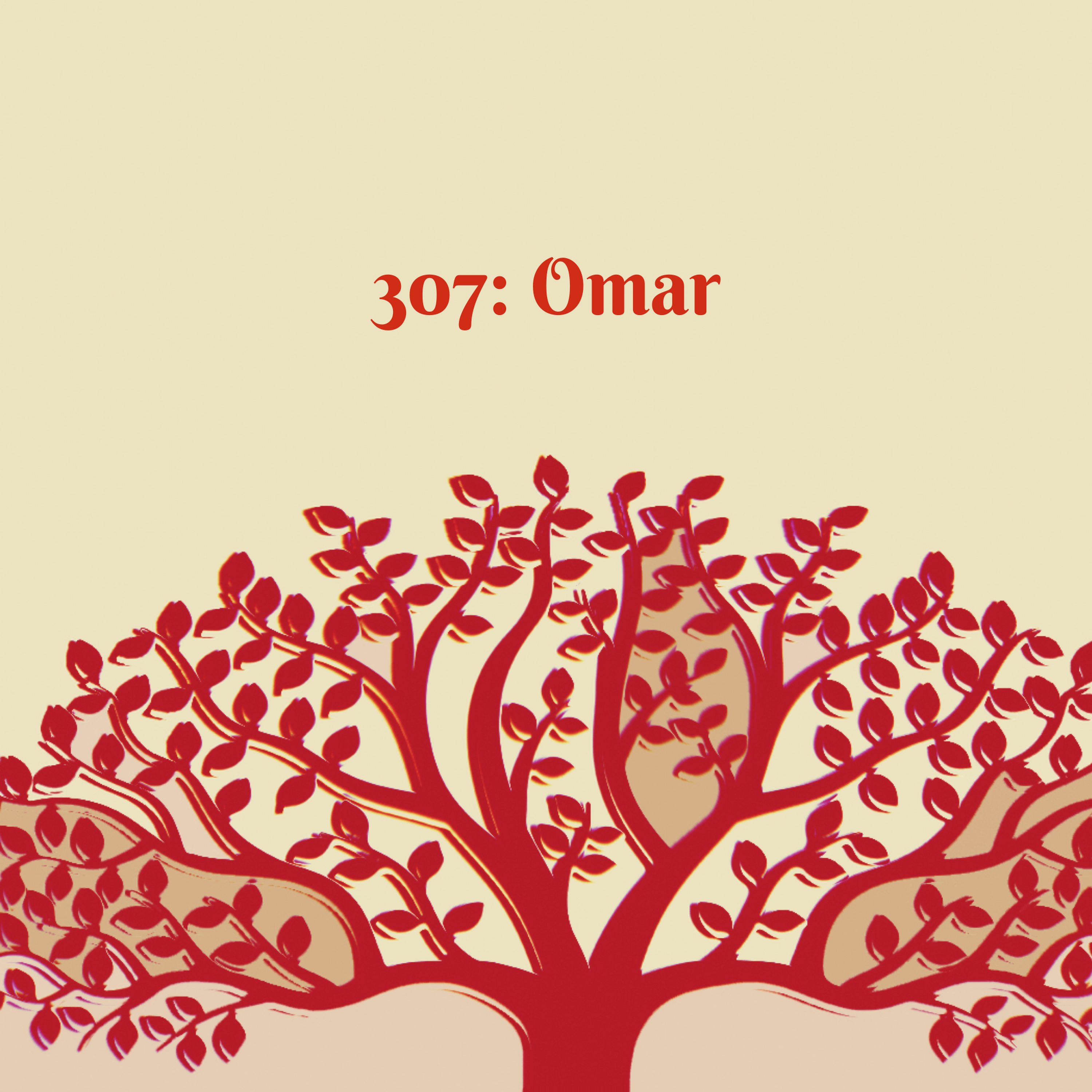 cover art for 307: Omar