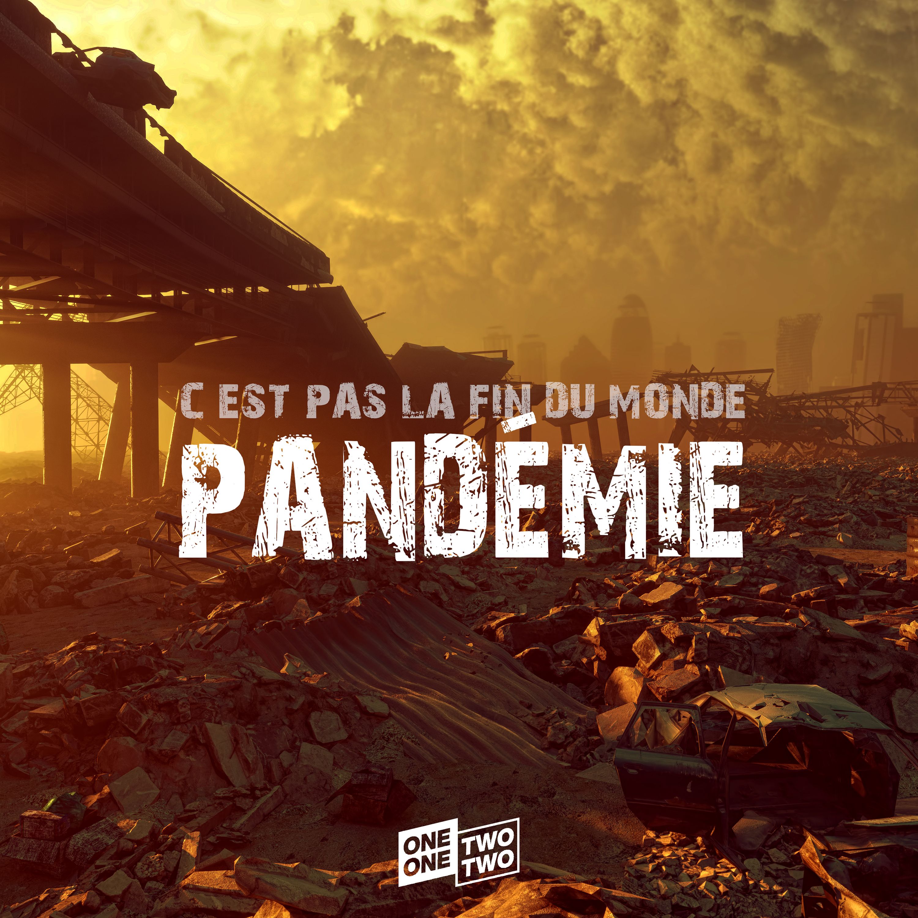 cover art for Comment survivre à une pandémie ?