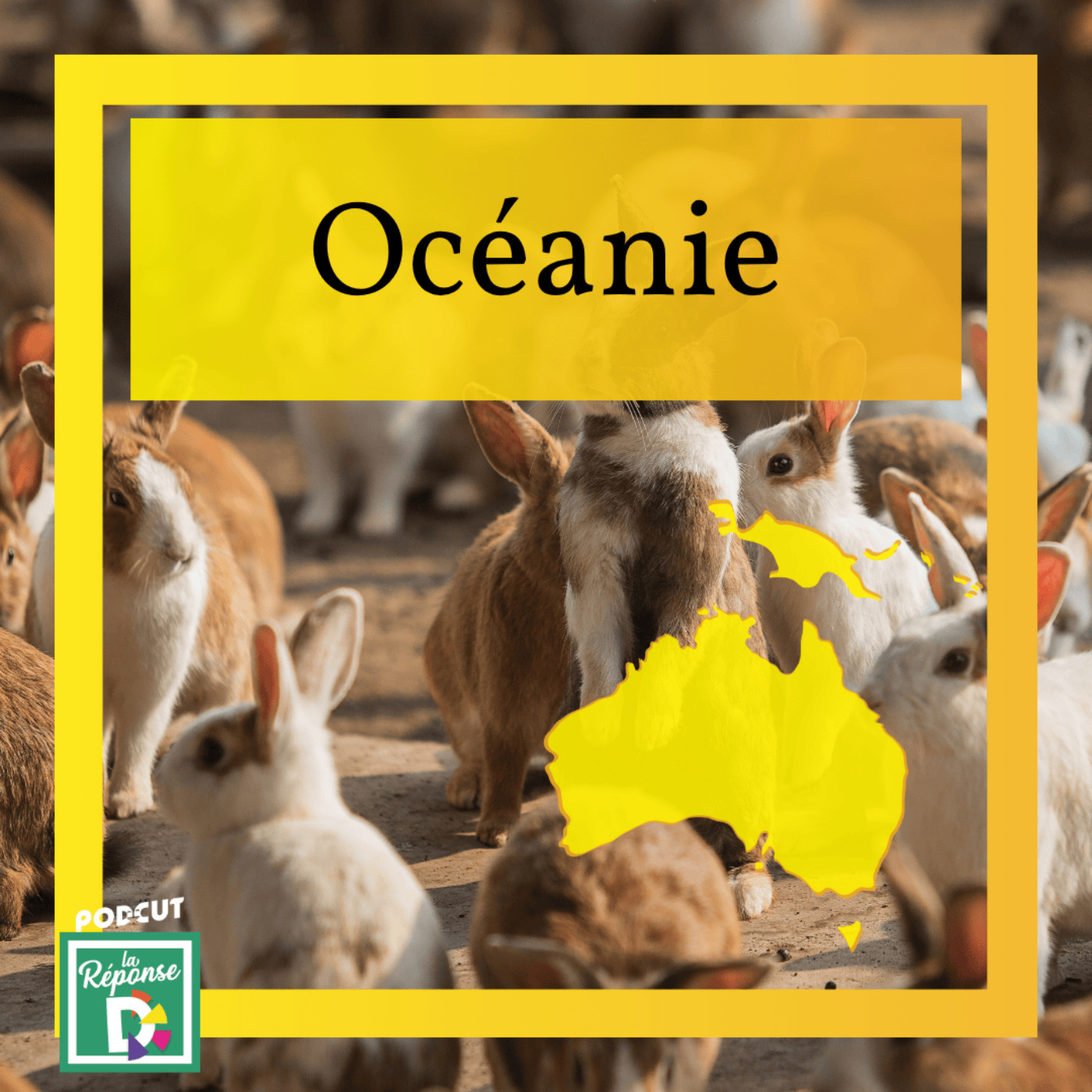 Océanie - Quel est le problème des lapins en Australie ?