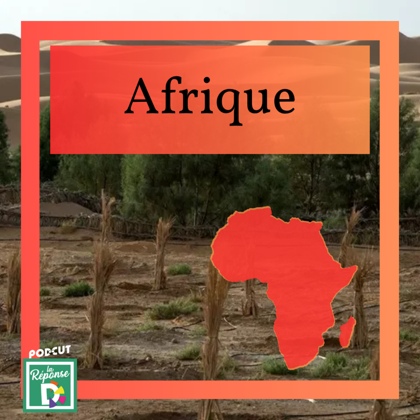 Afrique - Qu'est ce que la Grande Muraille Verte d'Afrique ?