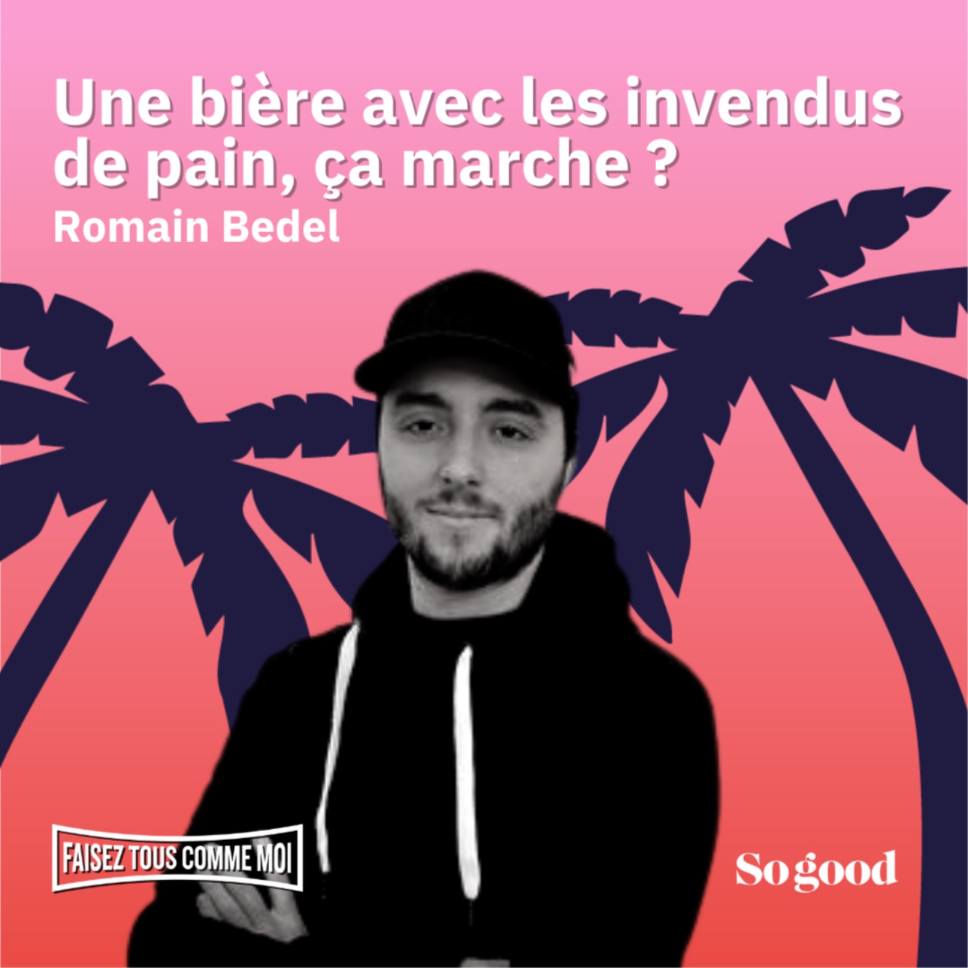 #2 Faisez tous comme moi - Romain Bedel
