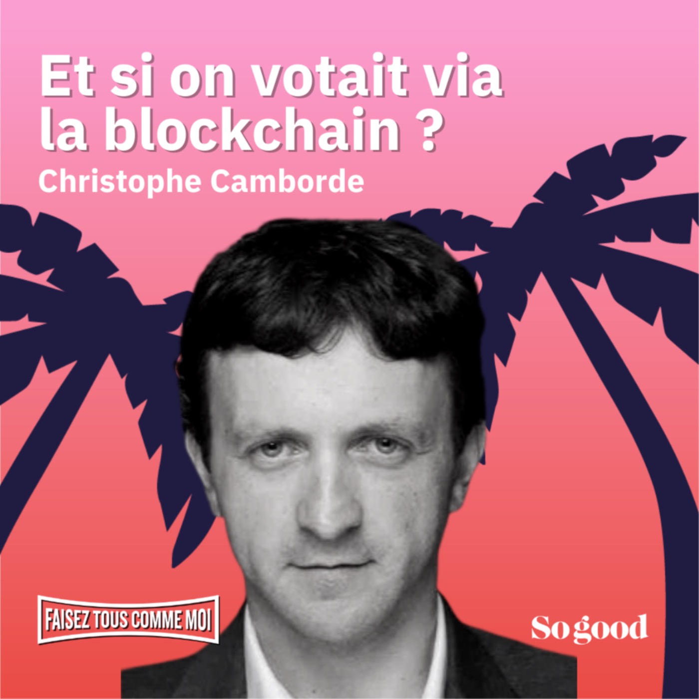 #36 Faisez tous comme moi! : Et si on votait via la blockchain ? Avec Christophe Camborde