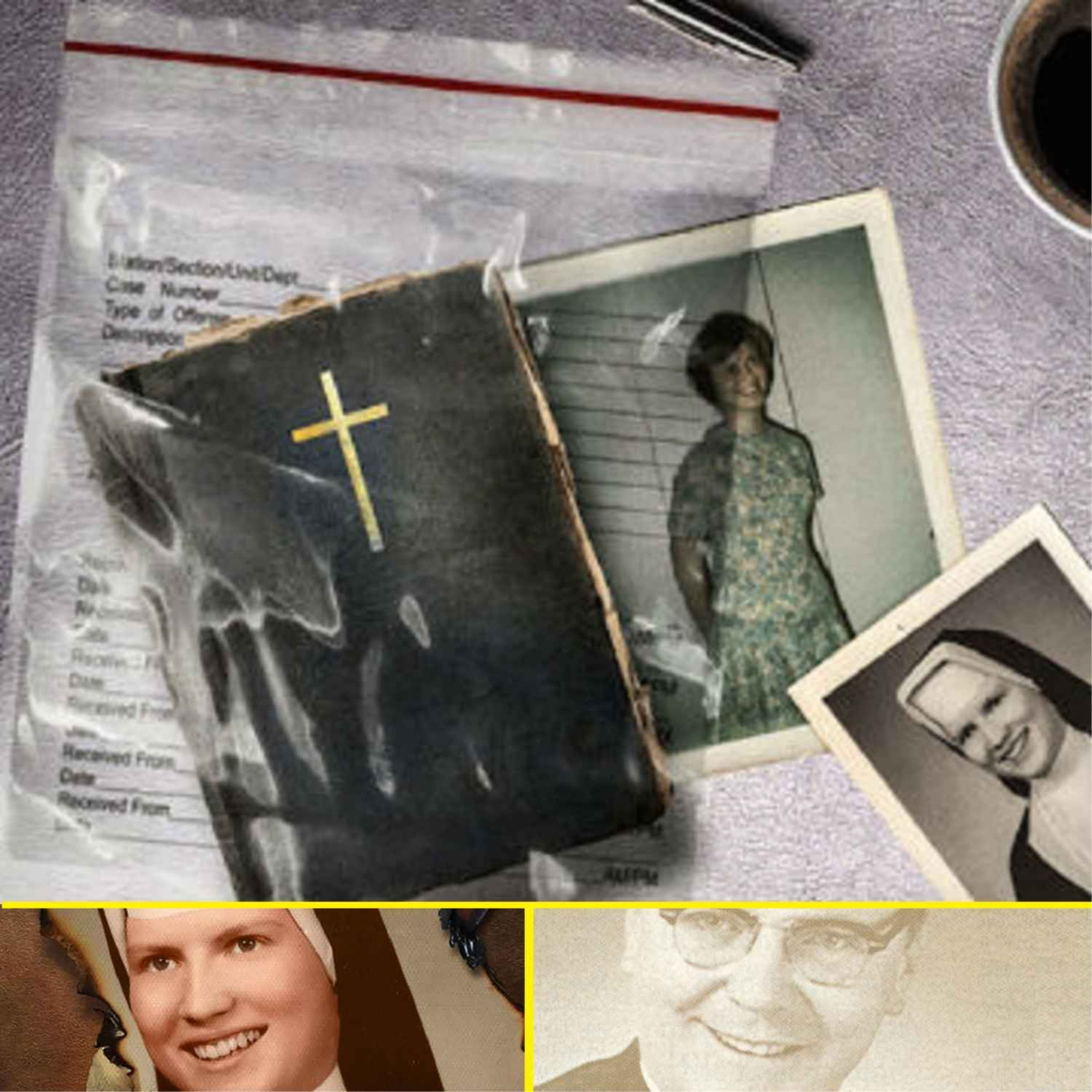 Meurtre de Catherine Cesnik, la religieuse qui en savait trop