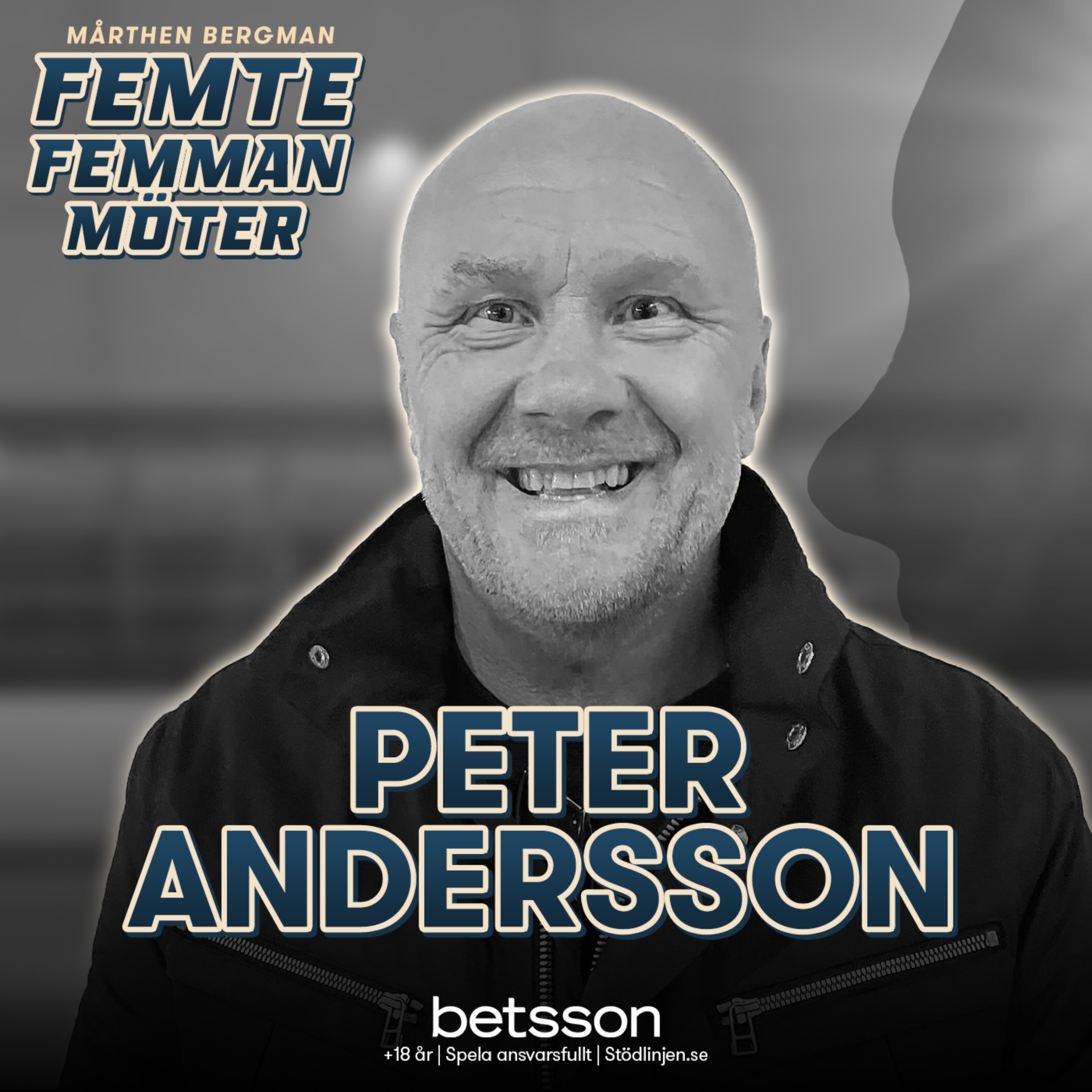 cover art for Möter: Peter Andersson