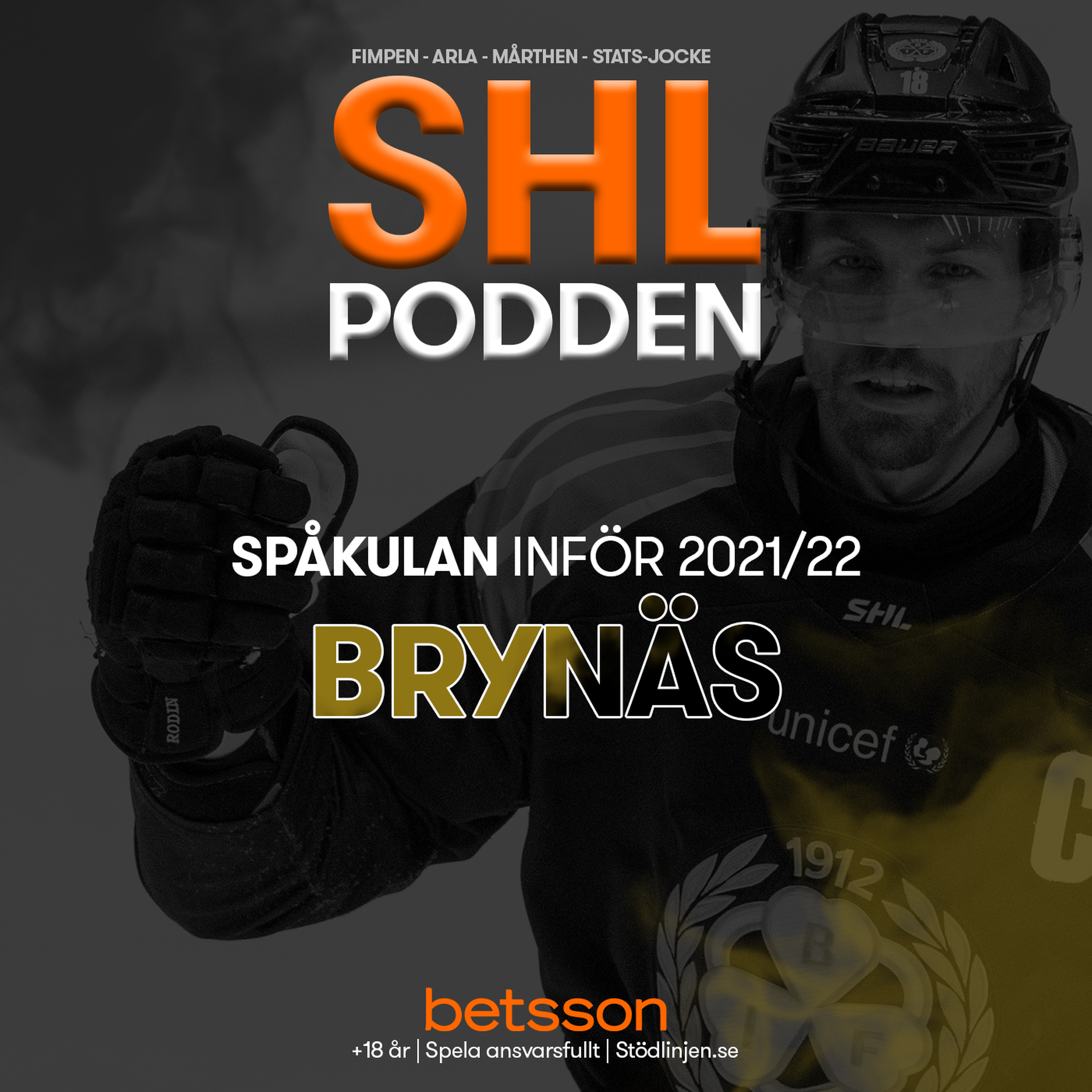 cover art for Spåkulan inför 2021/22: Brynäs