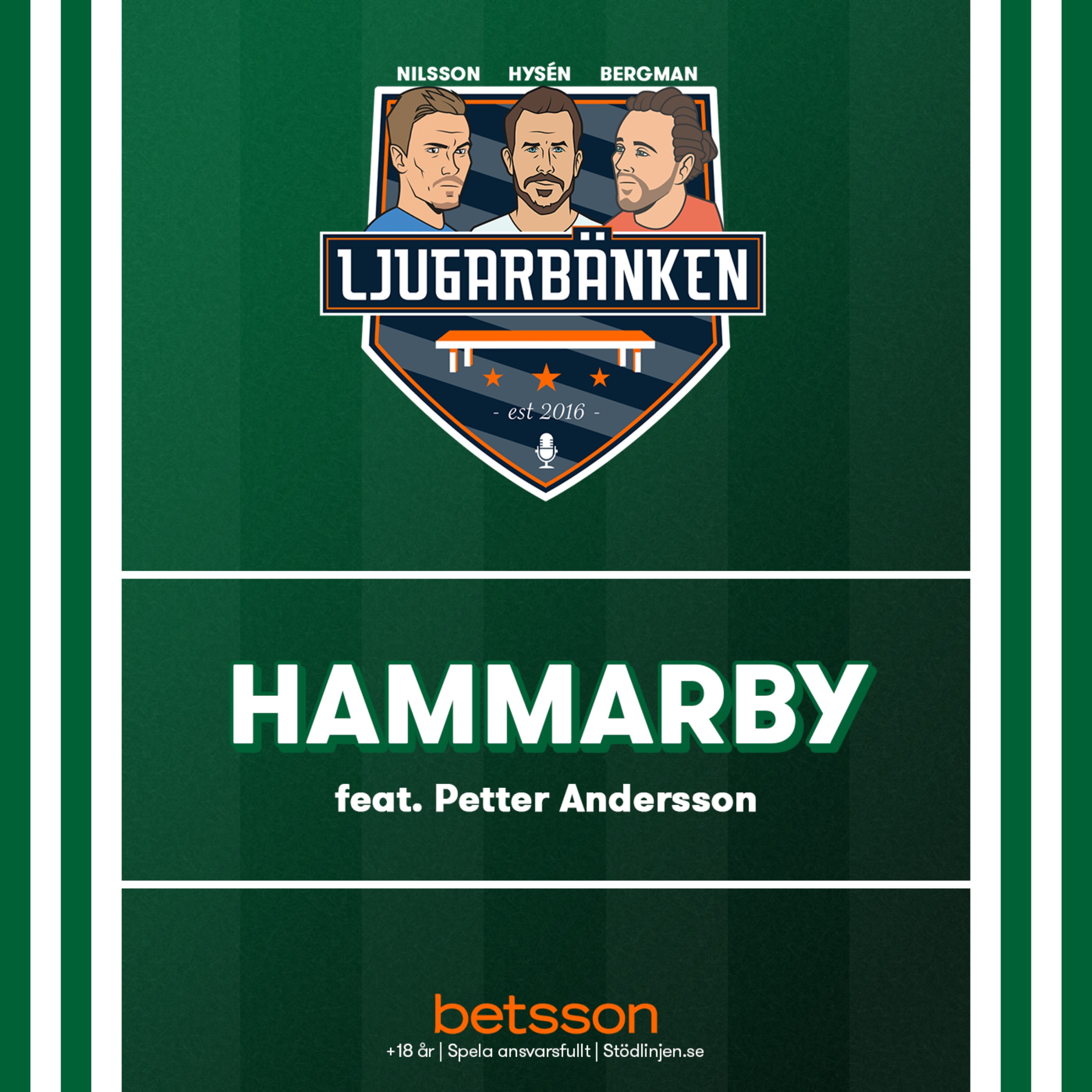 cover art for Hammarby '23 feat. Petter Andersson