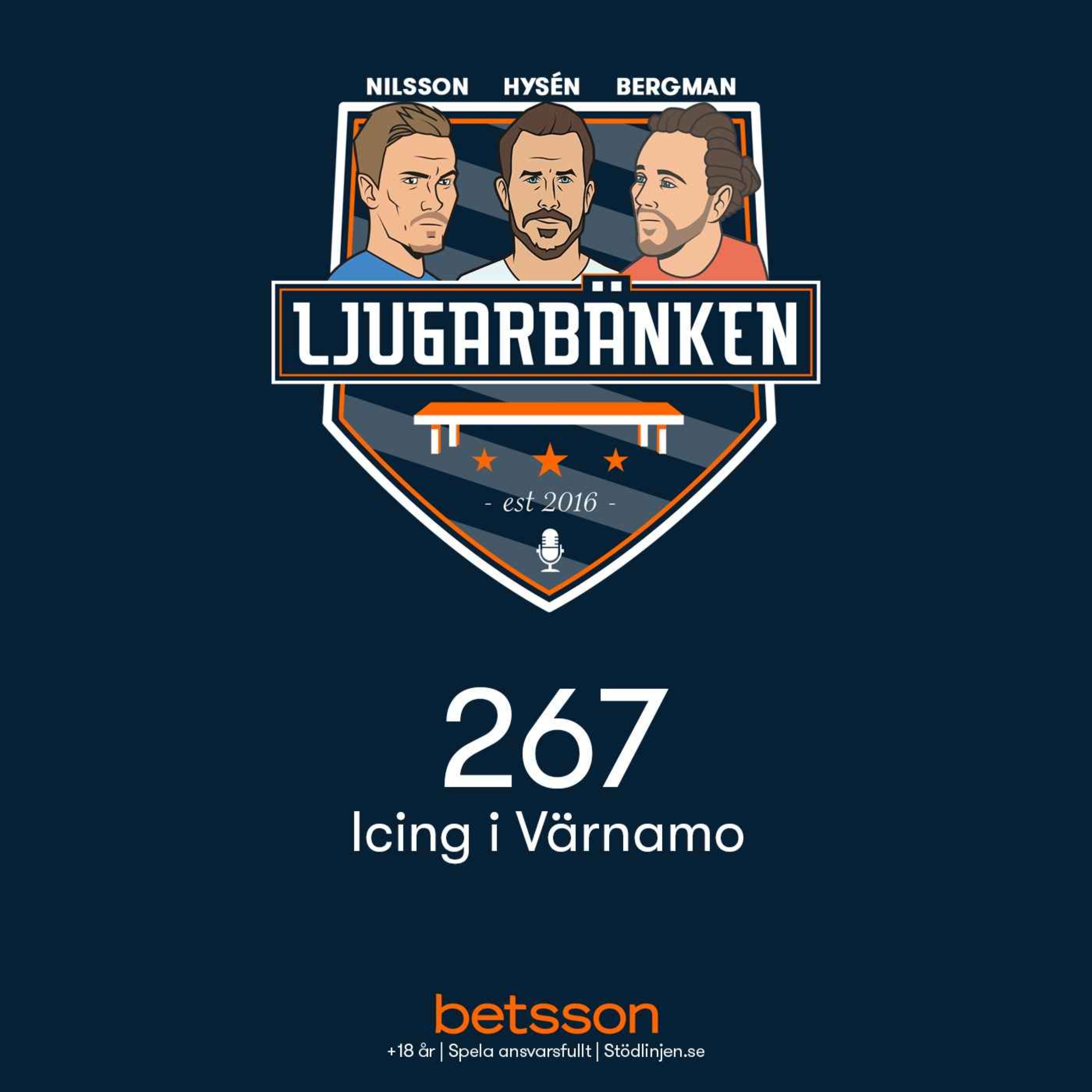 Icing i Värnamo episode artwork