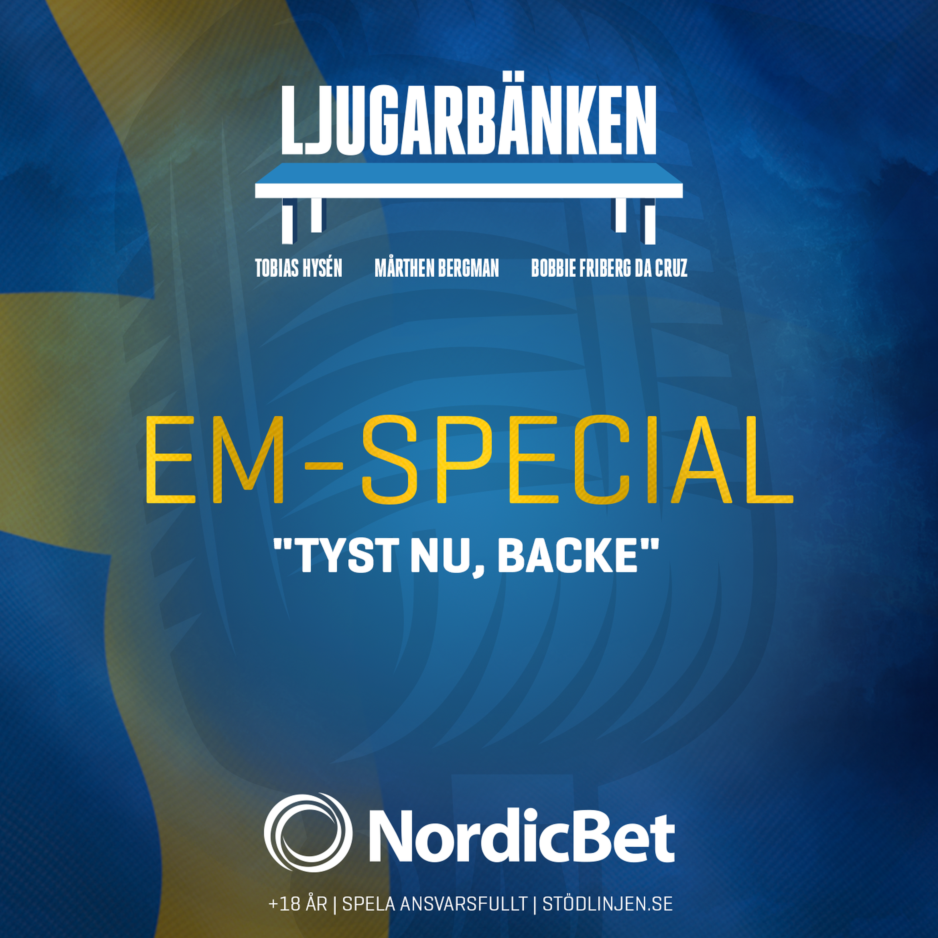 EM-special: Tyst nu, Backe! episode artwork