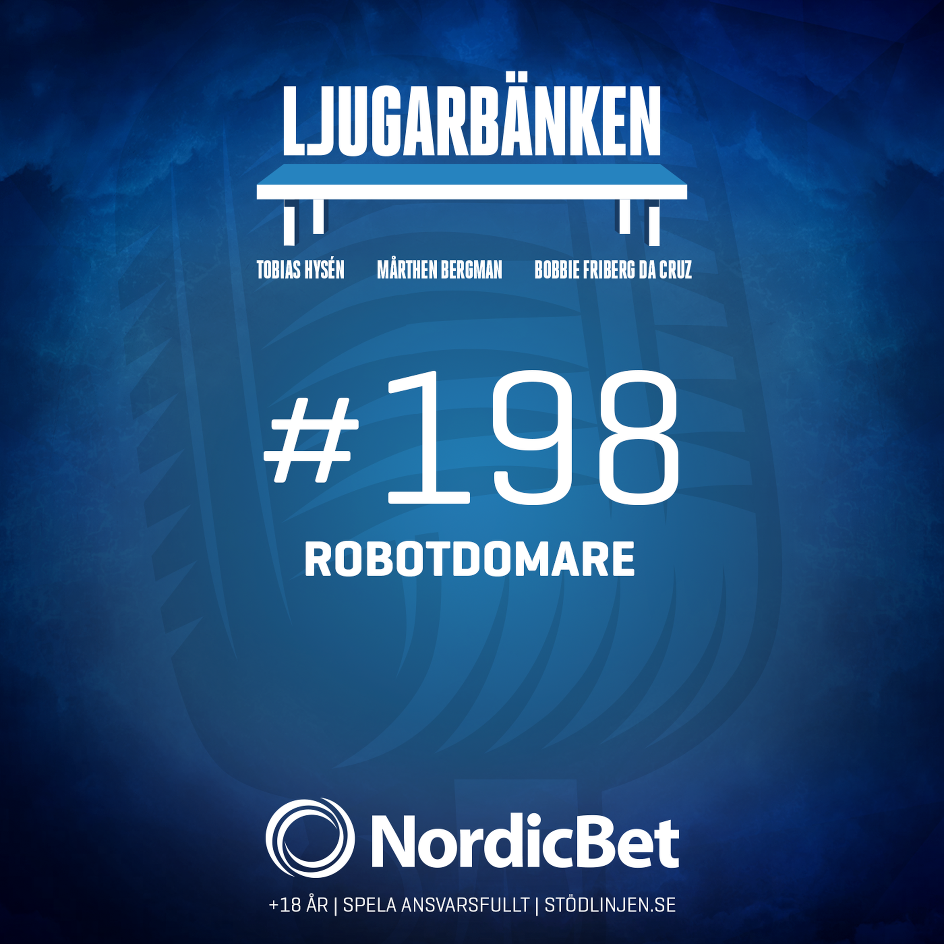 198 - Robotdomare episode artwork